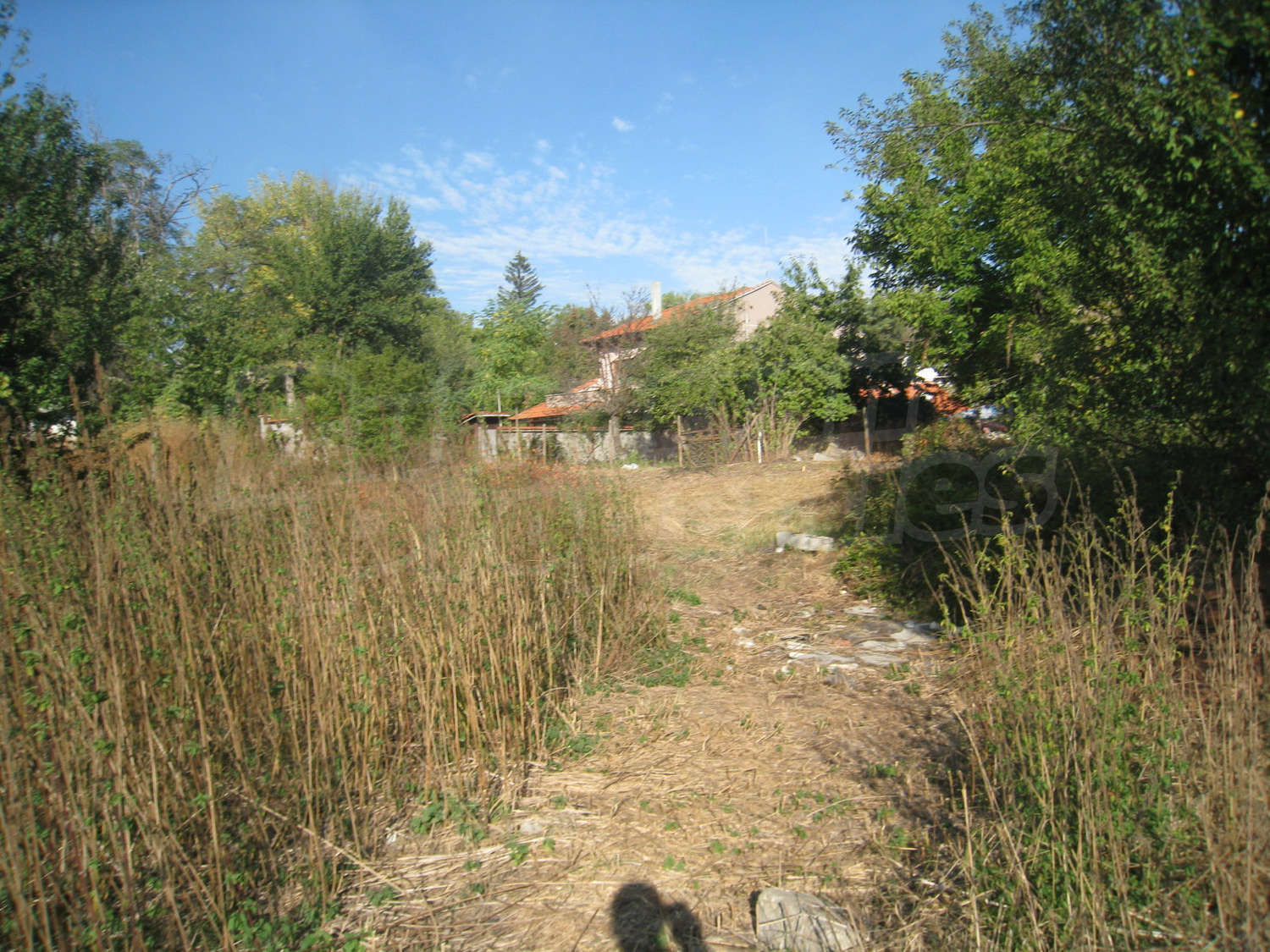 Gallery Picture 15