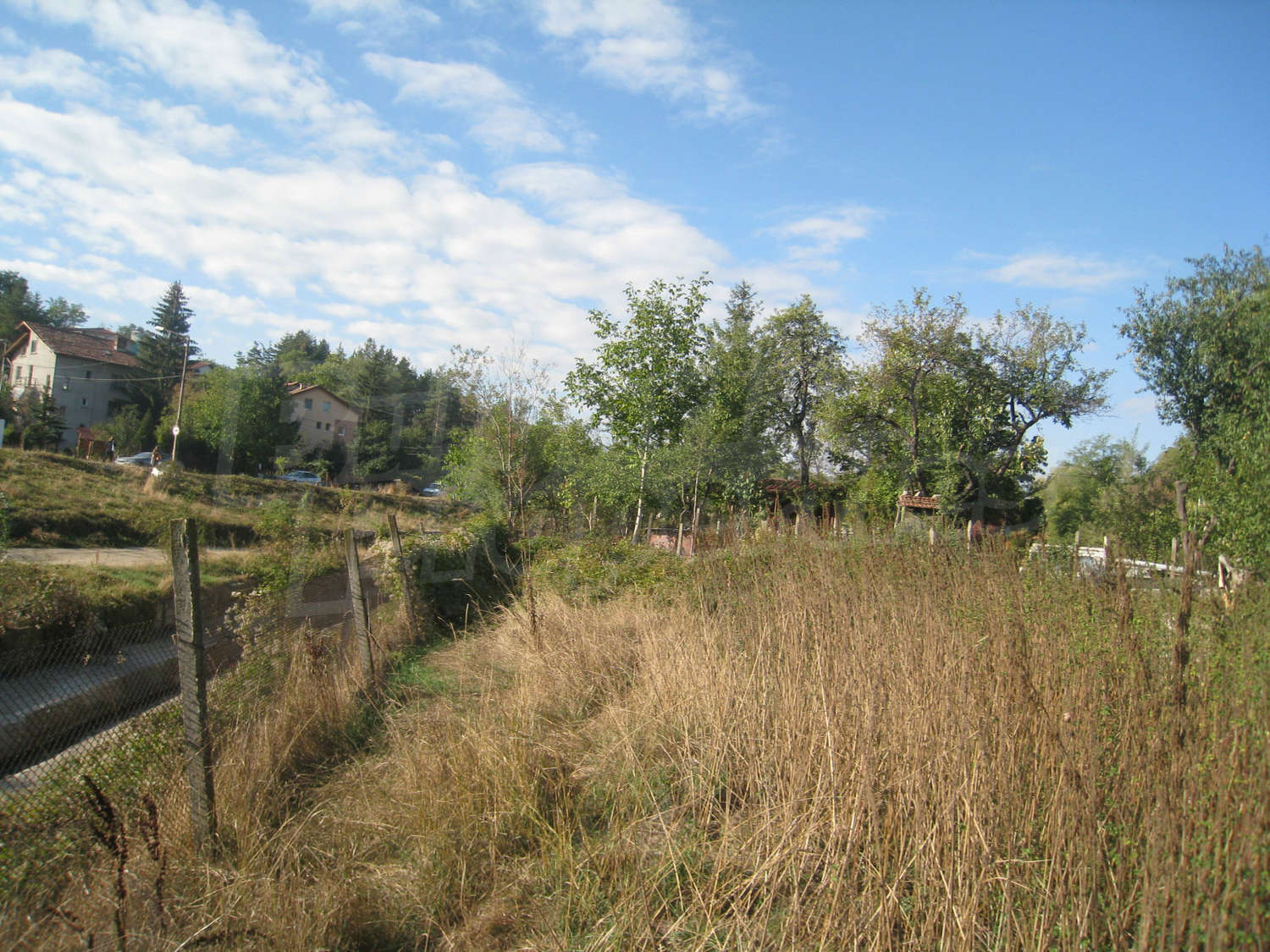 Gallery Picture 16