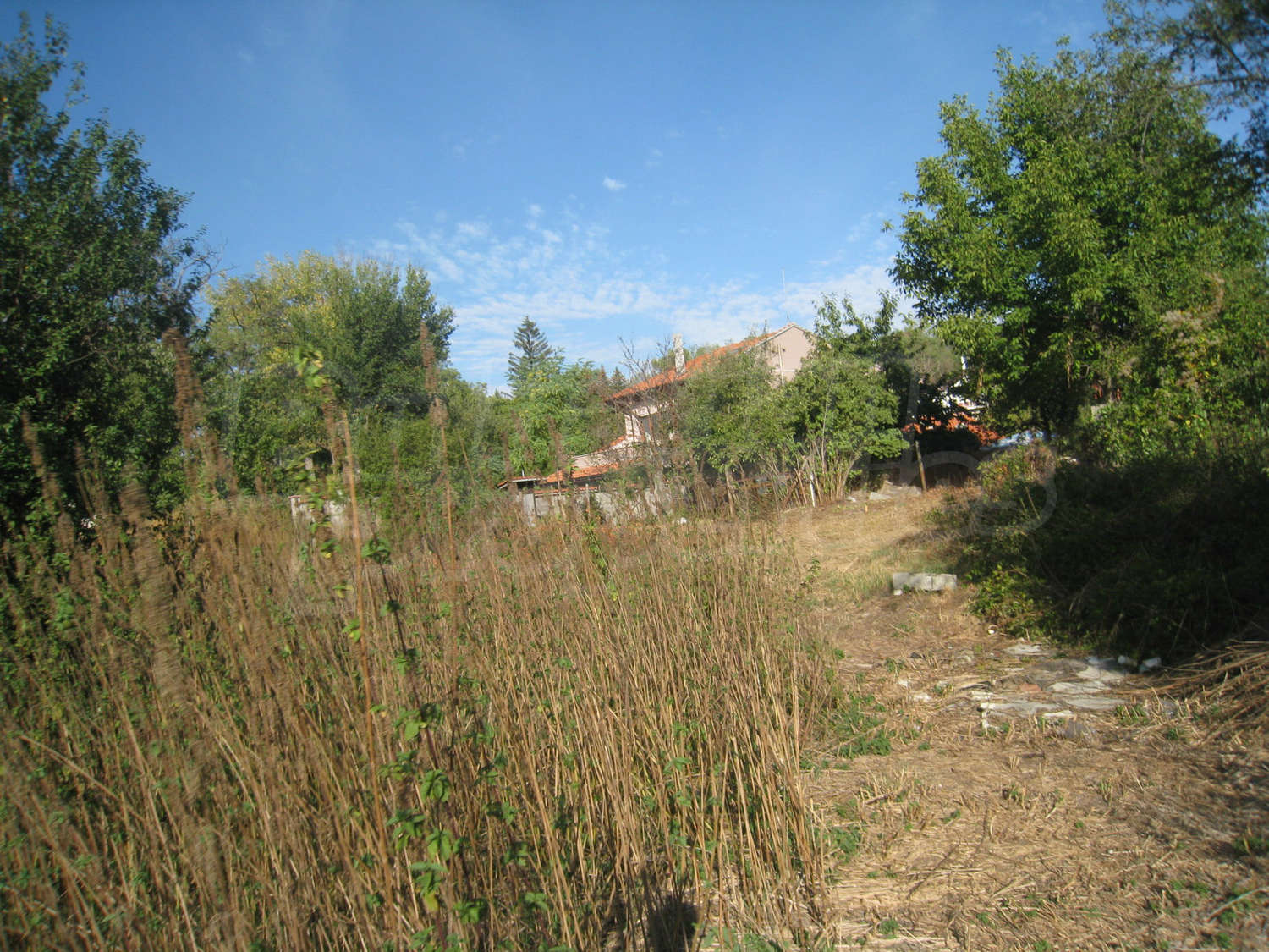 Gallery Picture 18