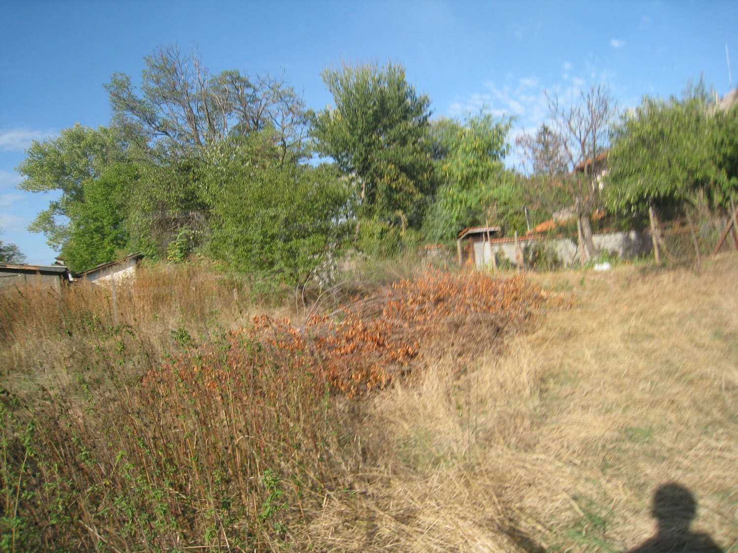 Gallery Picture 19