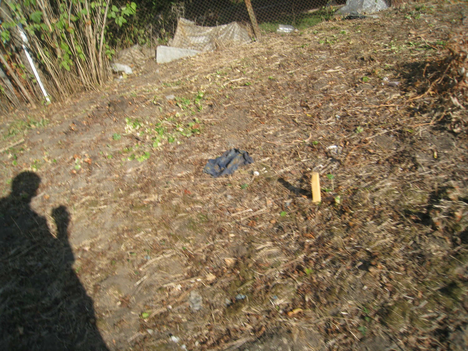 Gallery Picture 23