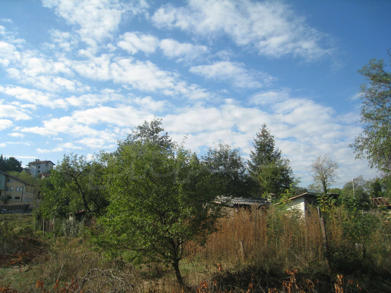 Gallery Picture 28