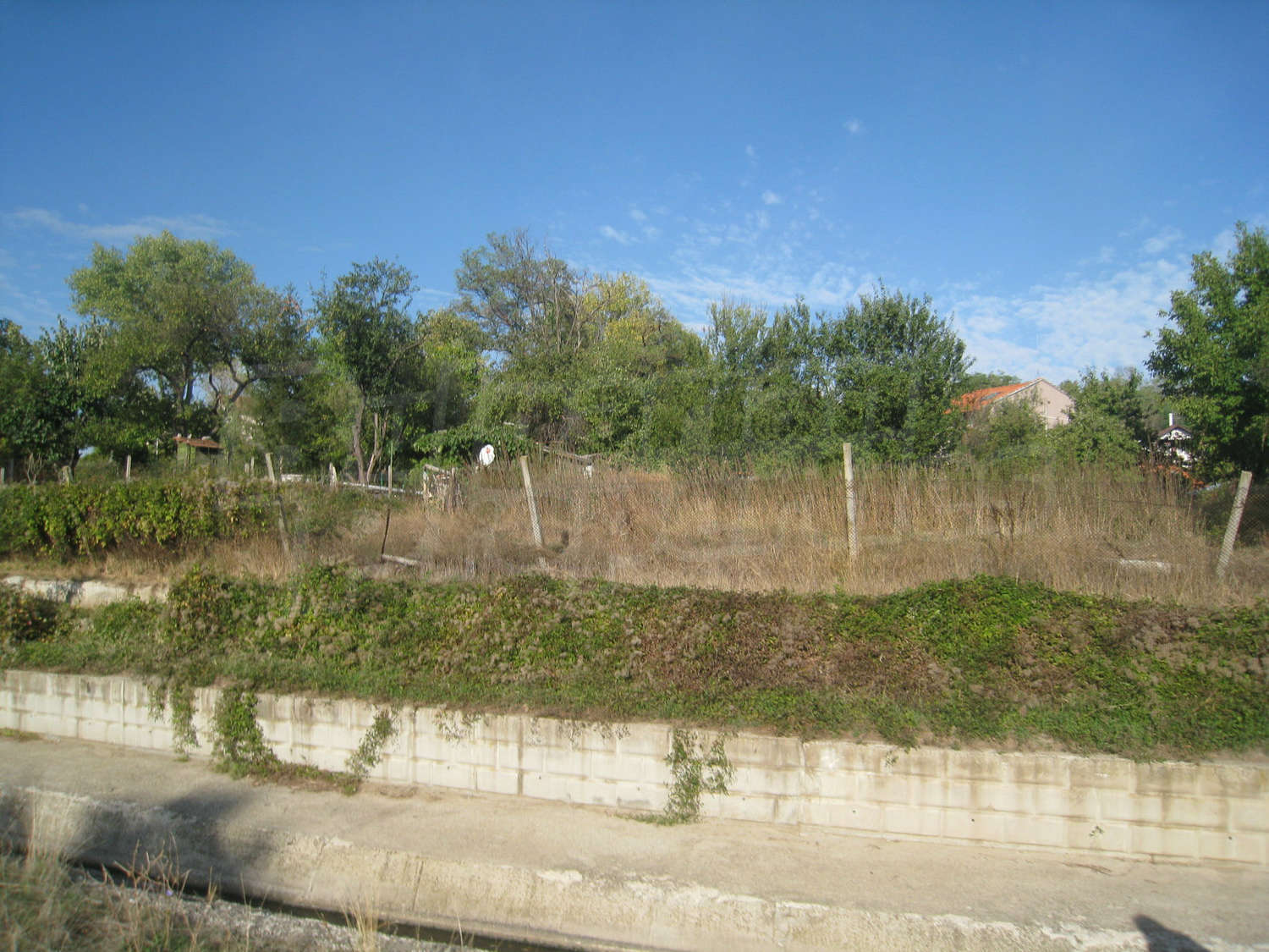 Gallery Picture 40