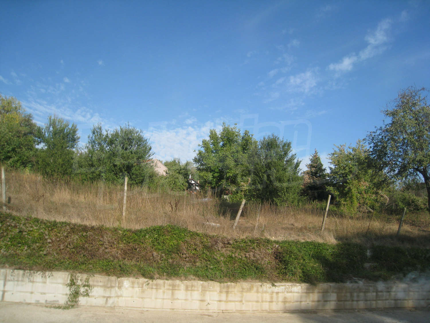 Gallery Picture 41