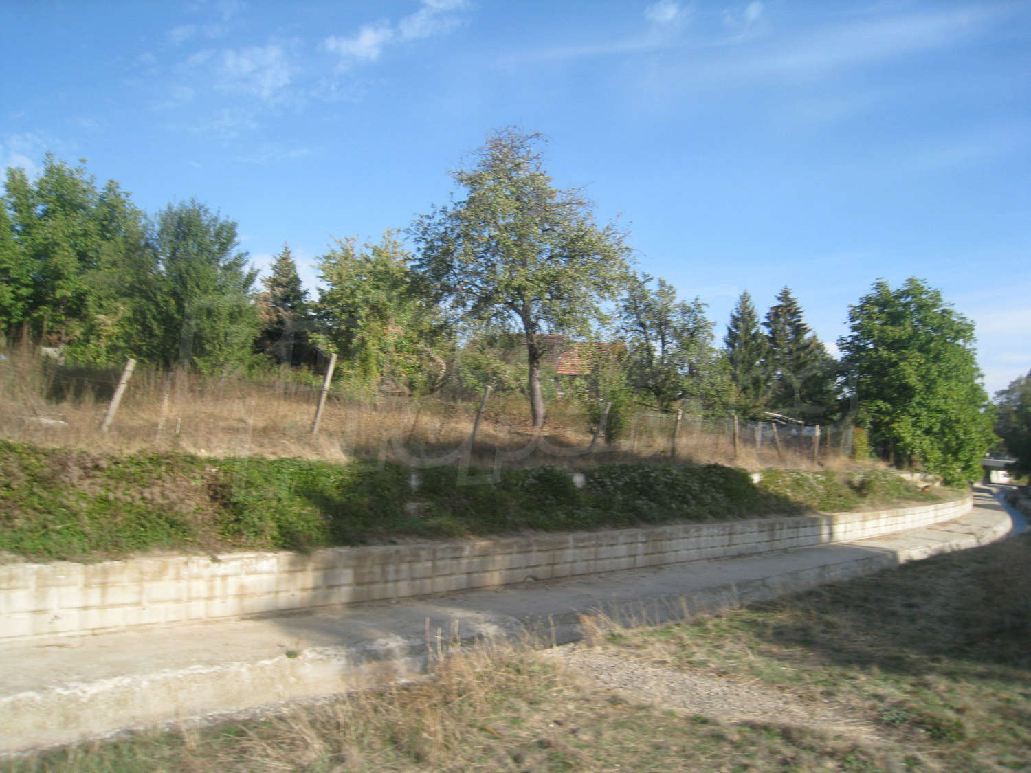 Gallery Picture 42