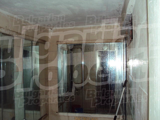 Gallery Picture 13
