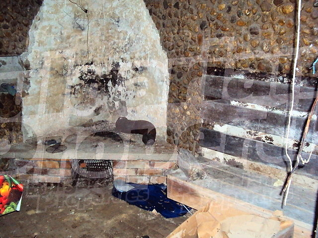 Gallery Picture 14