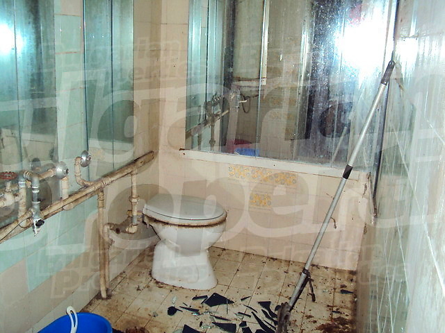 Gallery Picture 16