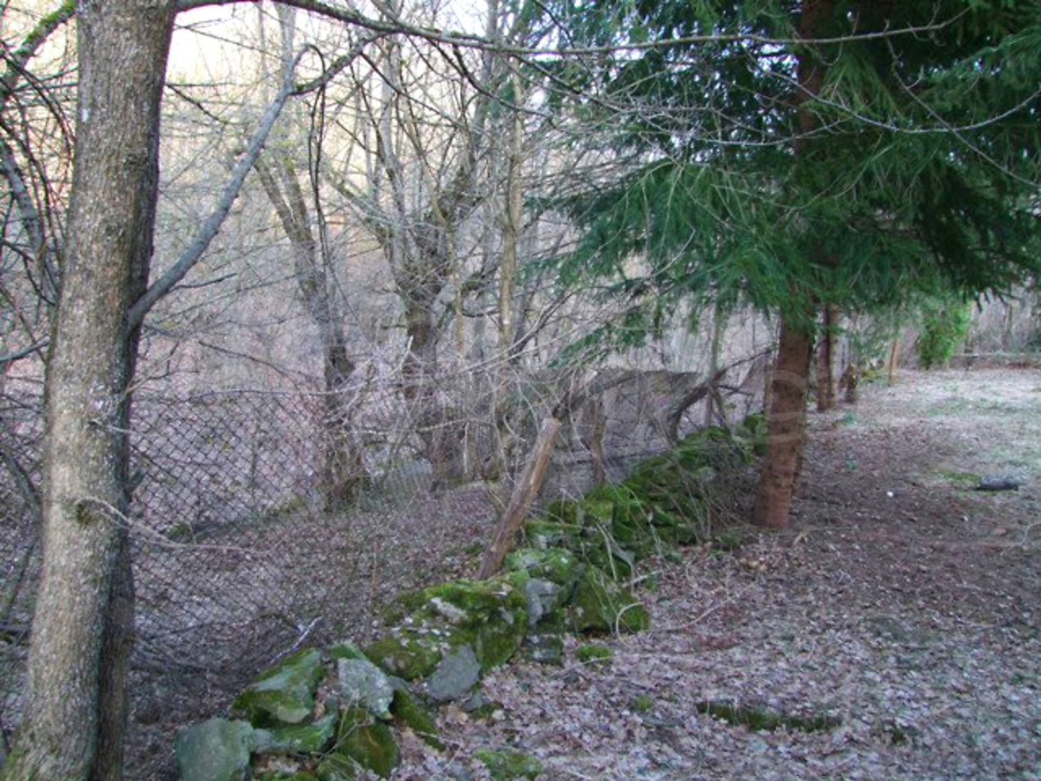 Gallery Picture 25