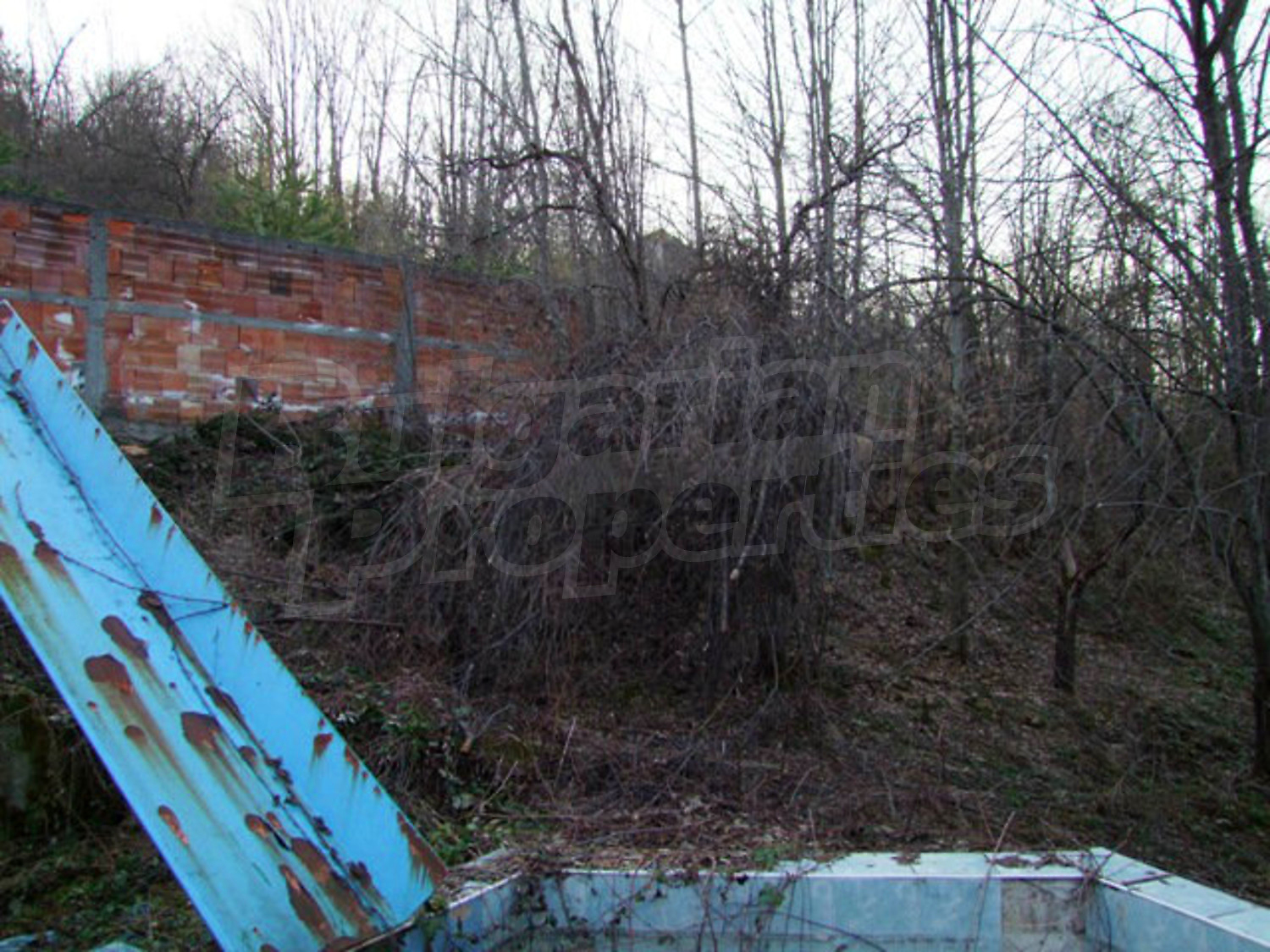 Gallery Picture 37