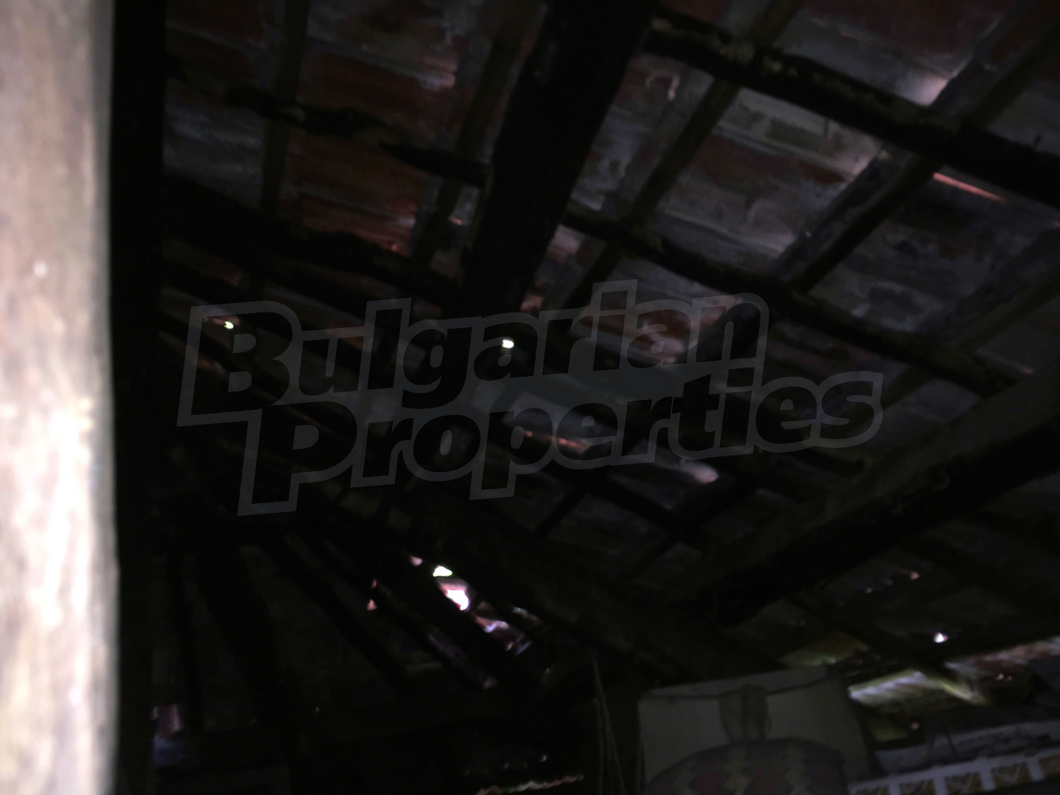 Gallery Picture 41