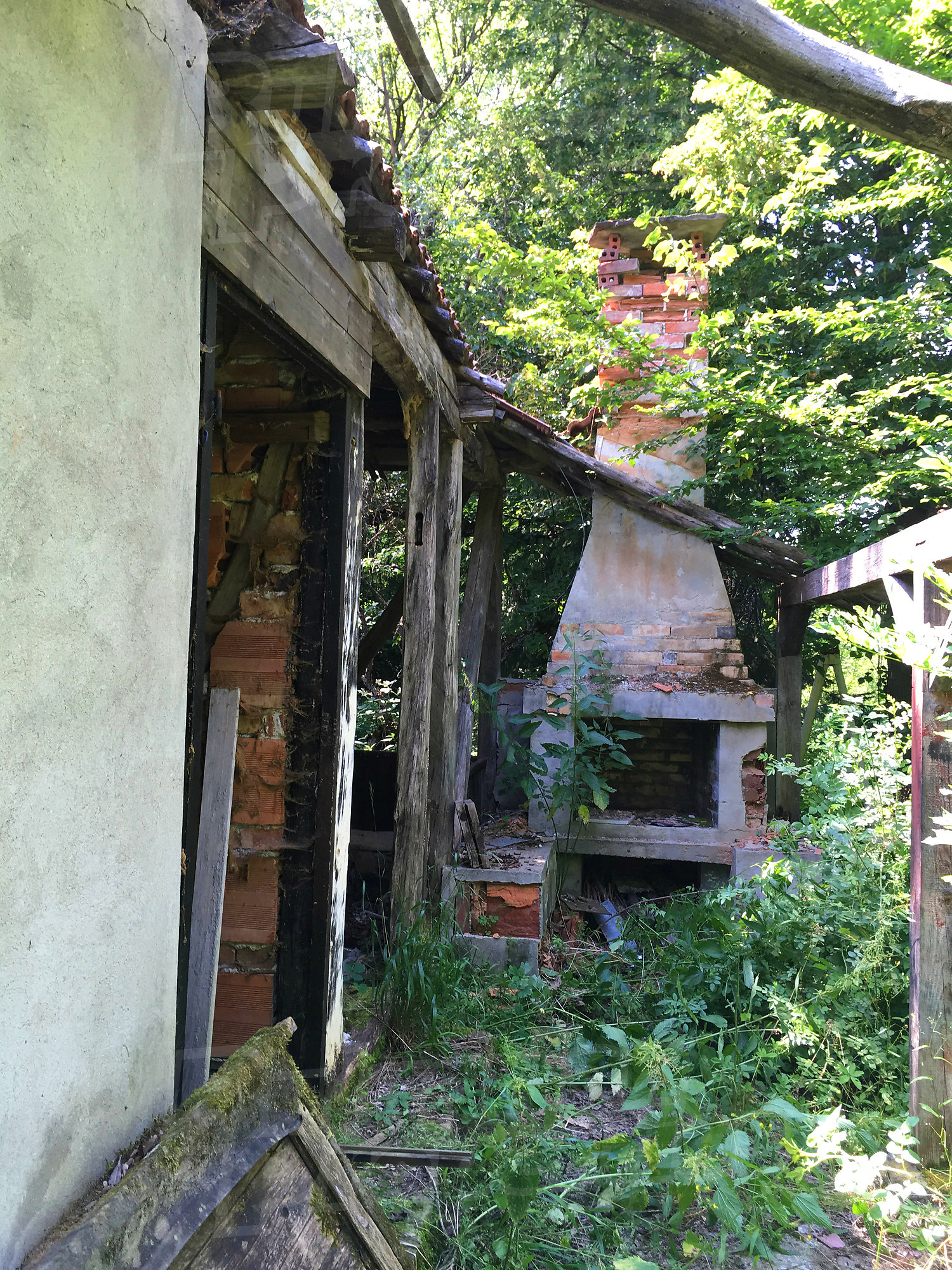 Gallery Picture 51