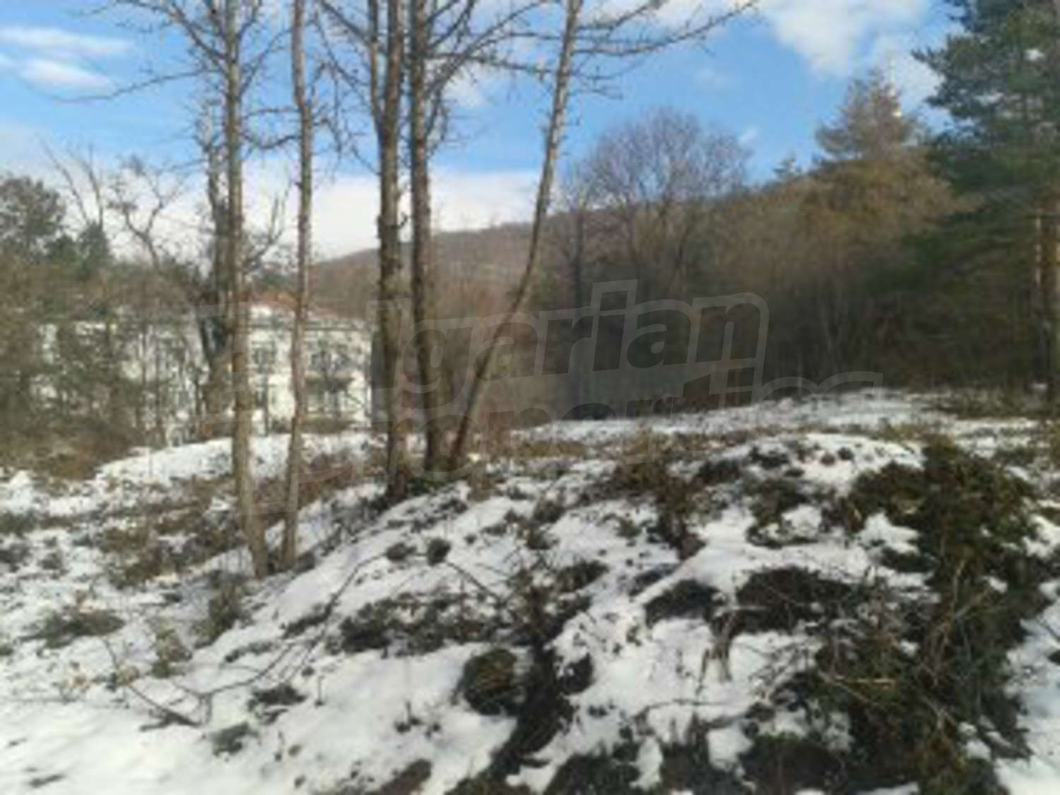 Gallery Picture 11