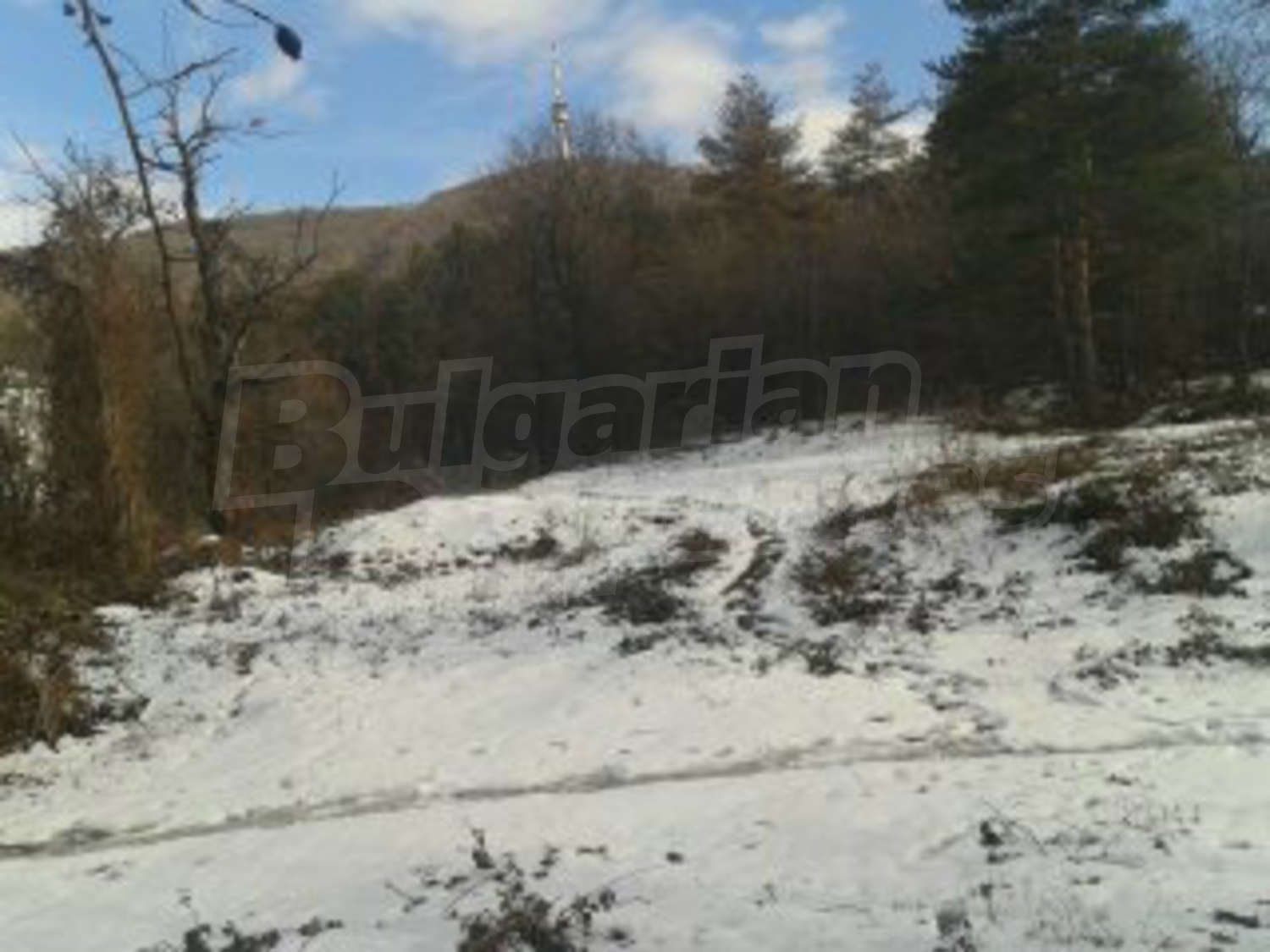 Gallery Picture 9