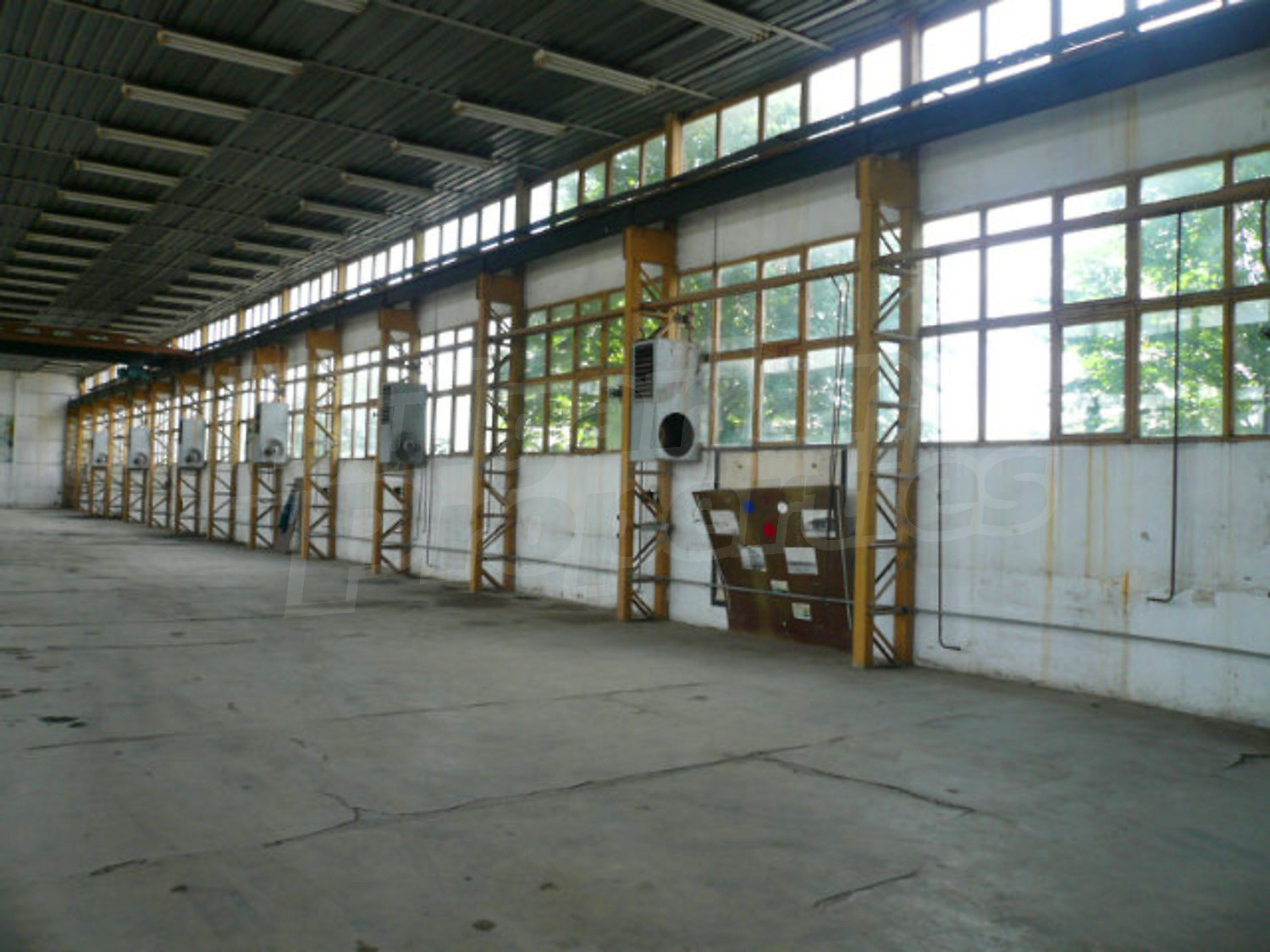 Gallery Picture 5