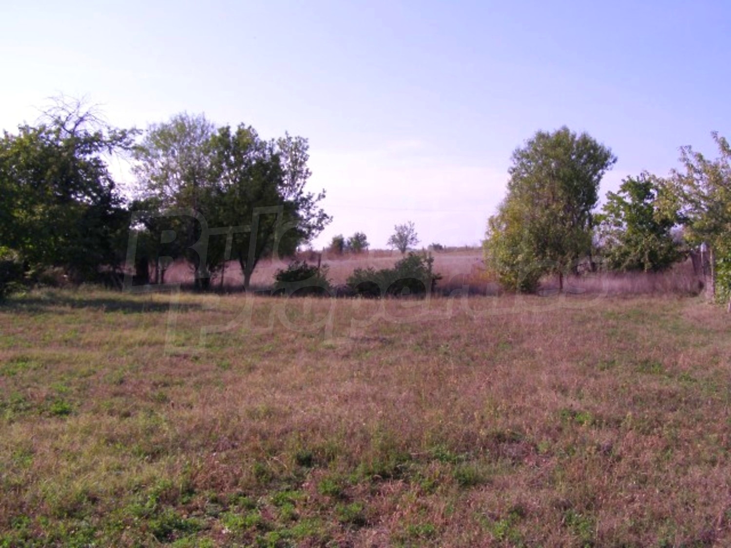 Gallery Picture 10