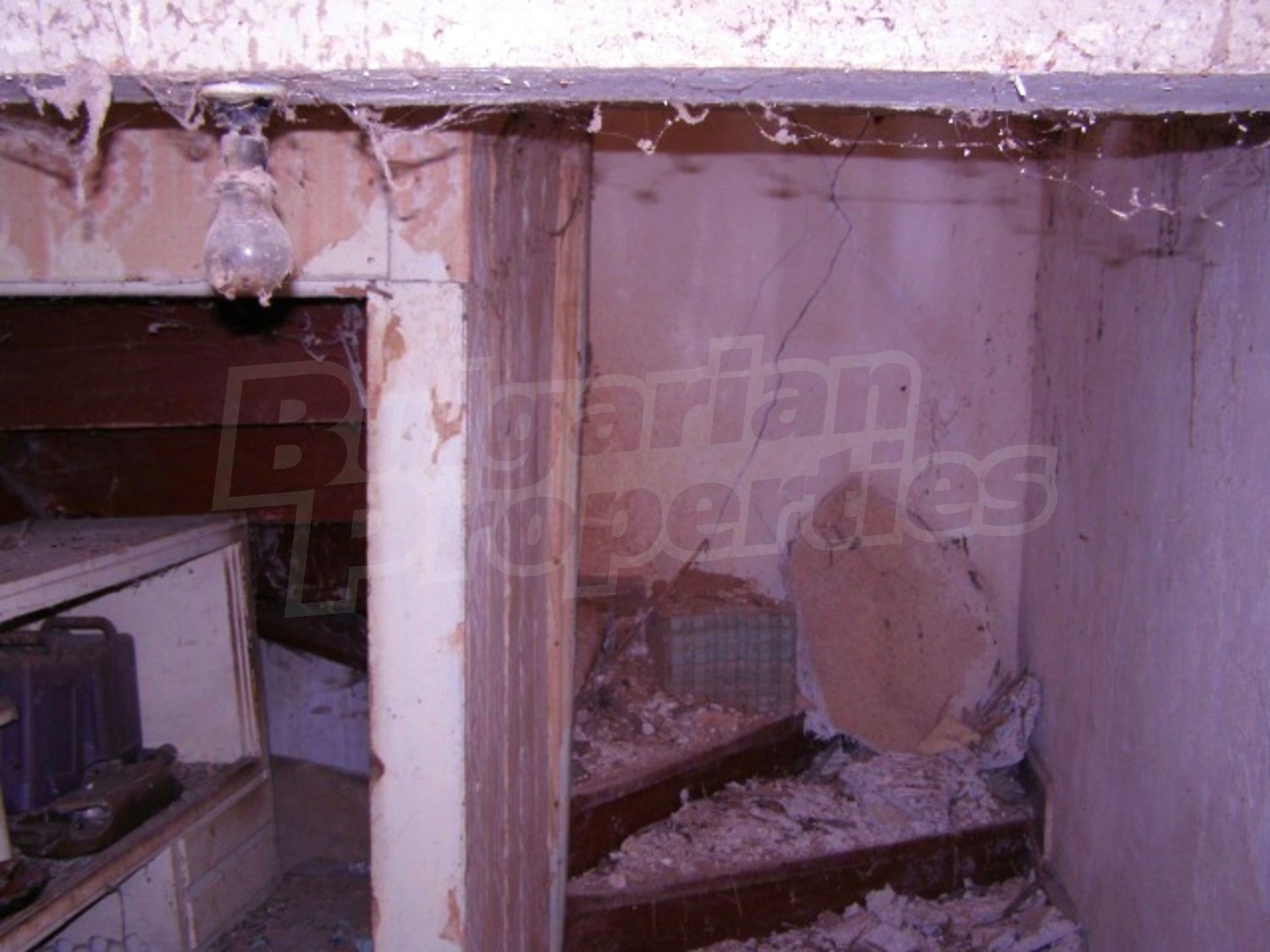 Gallery Picture 13