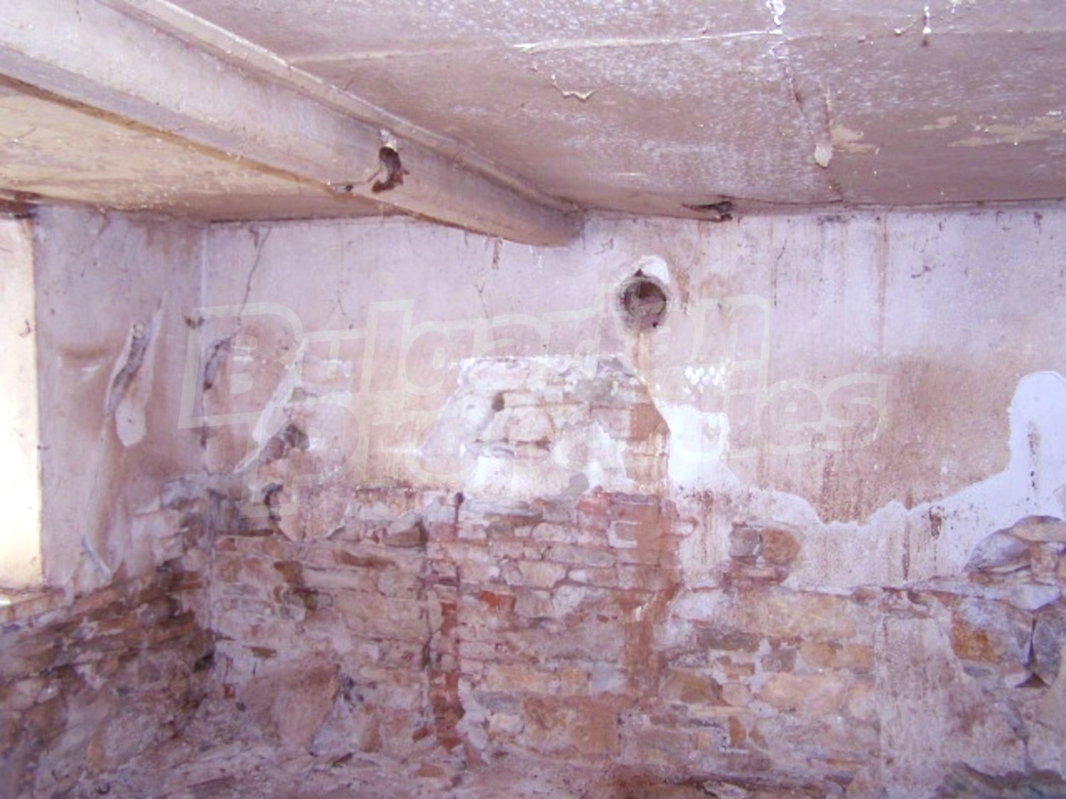 Gallery Picture 14