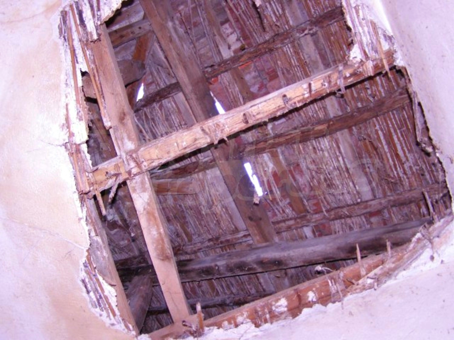 Gallery Picture 15