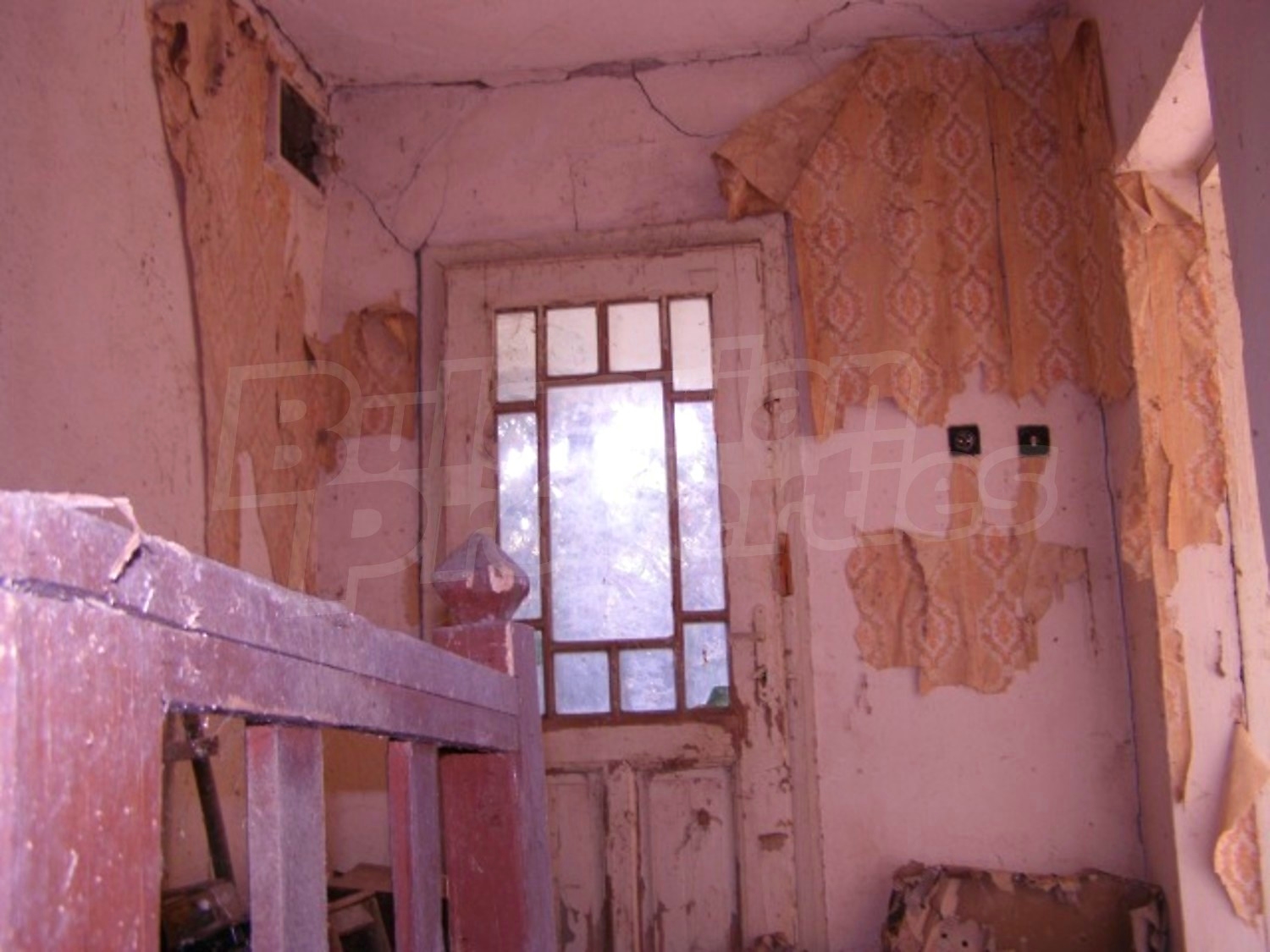 Gallery Picture 16