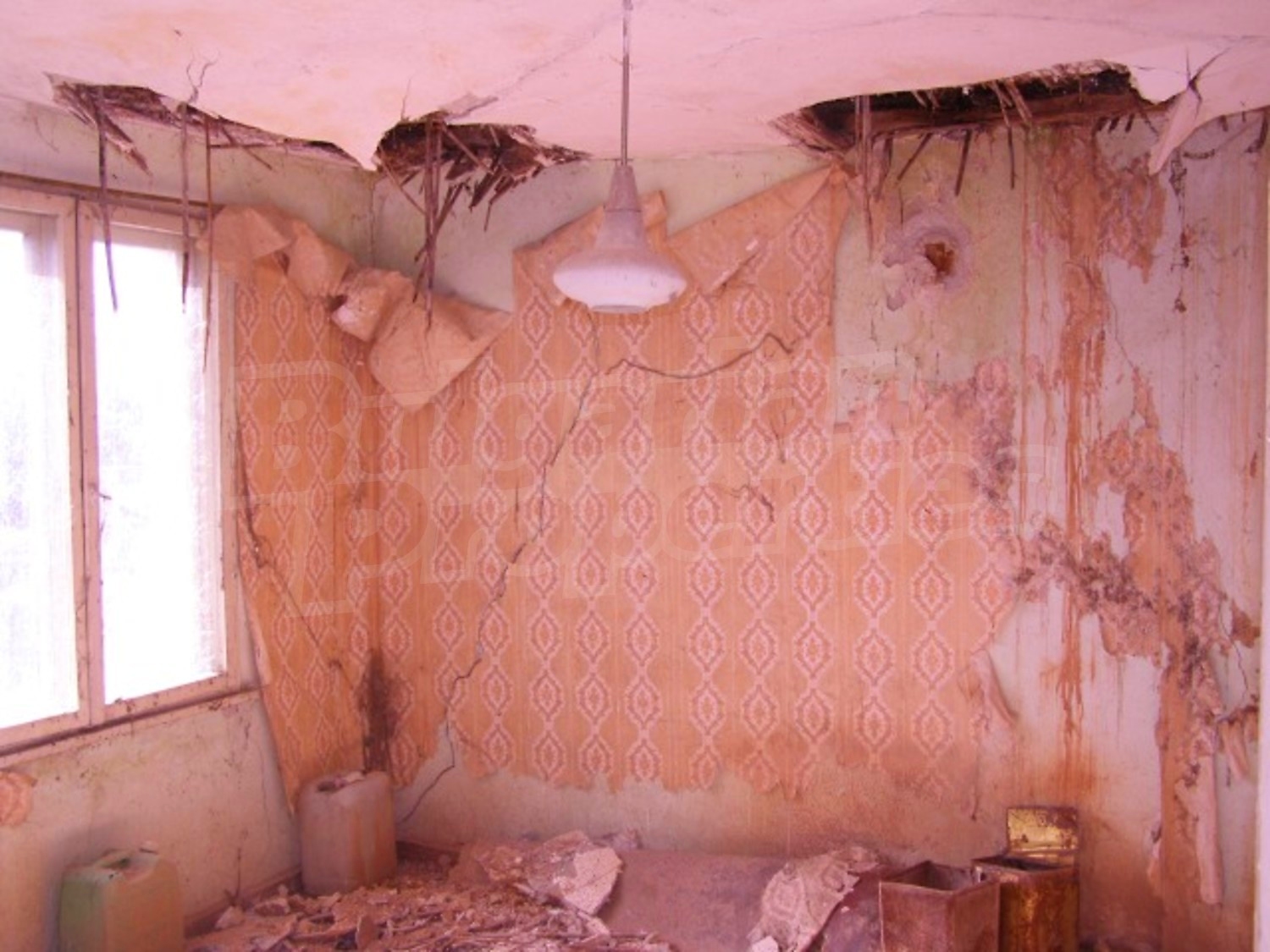 Gallery Picture 18