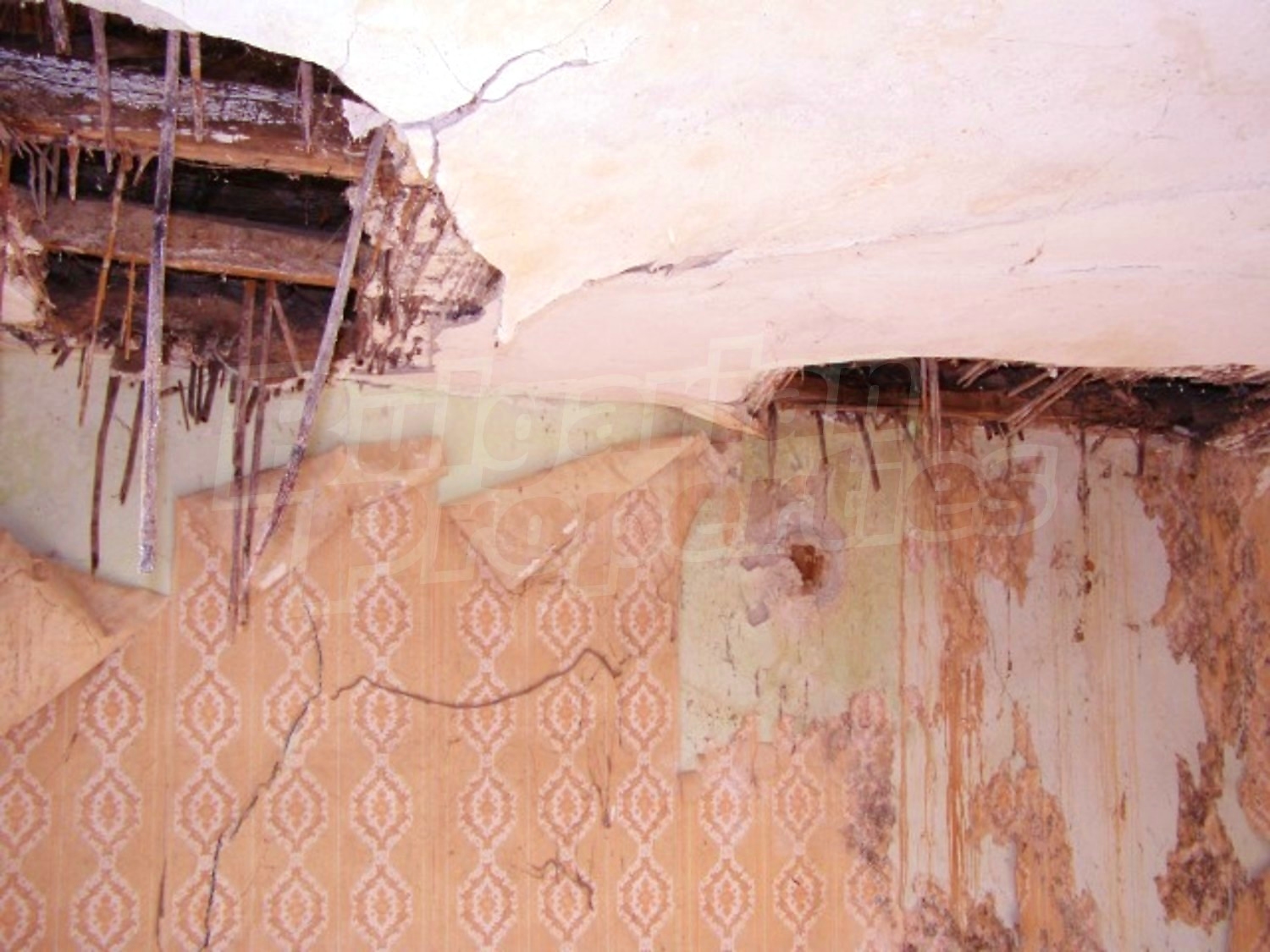 Gallery Picture 19