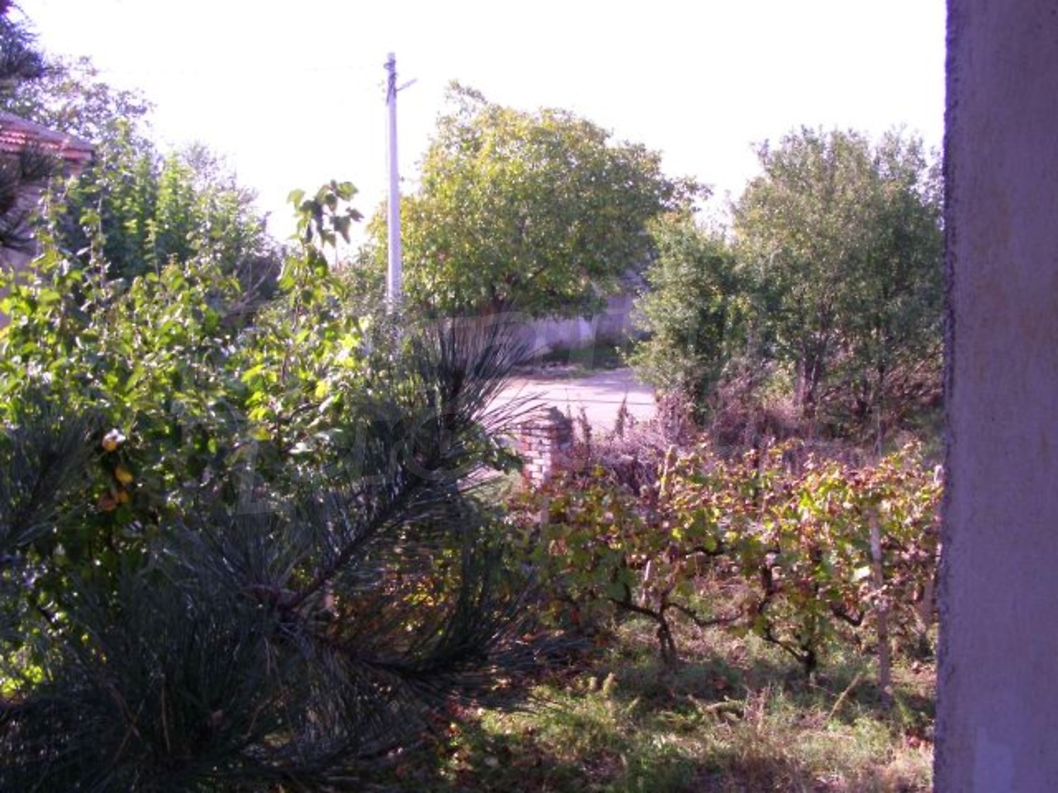 Gallery Picture 21
