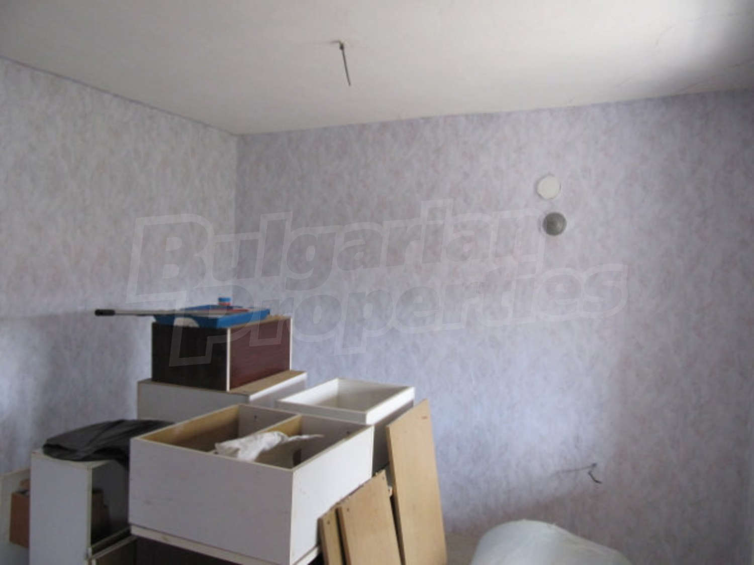 Gallery Picture 13