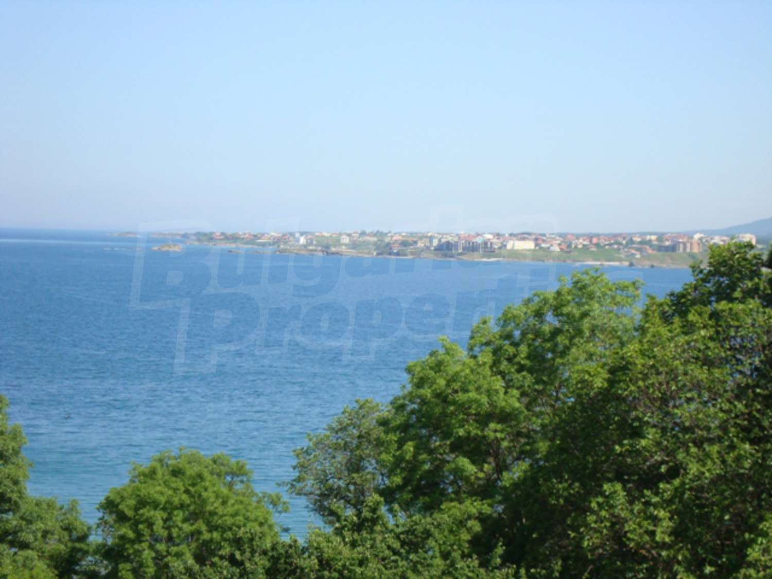 Gallery Picture 15