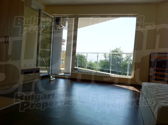 Gallery Picture 7