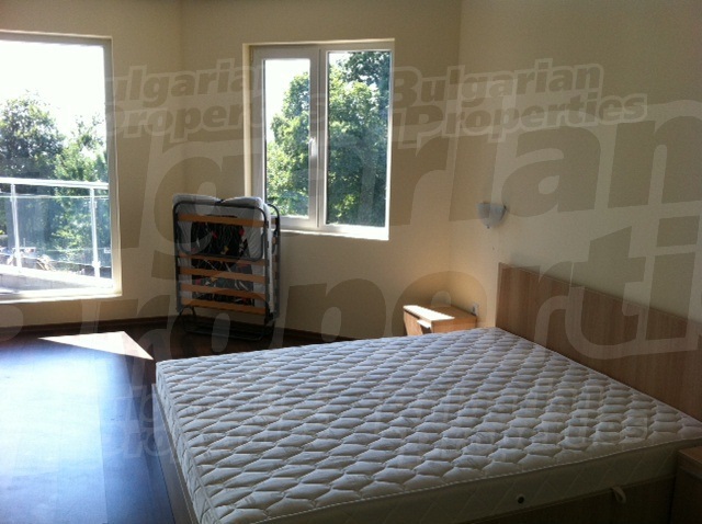 Gallery Picture 8
