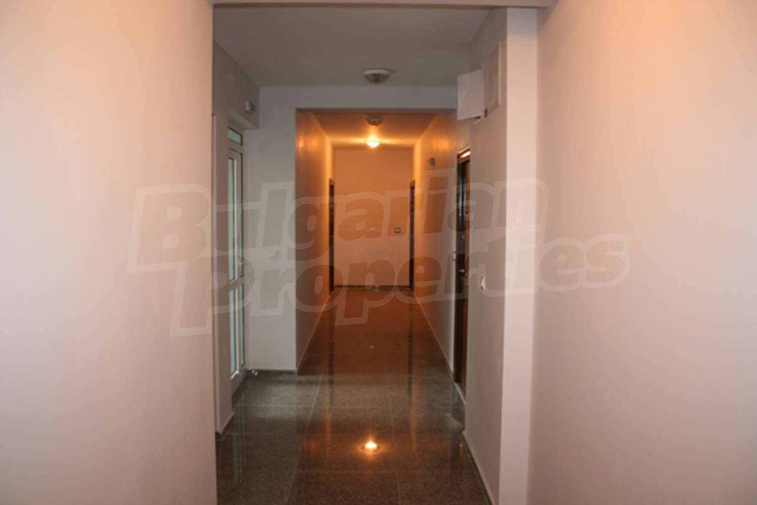 Gallery Picture 8