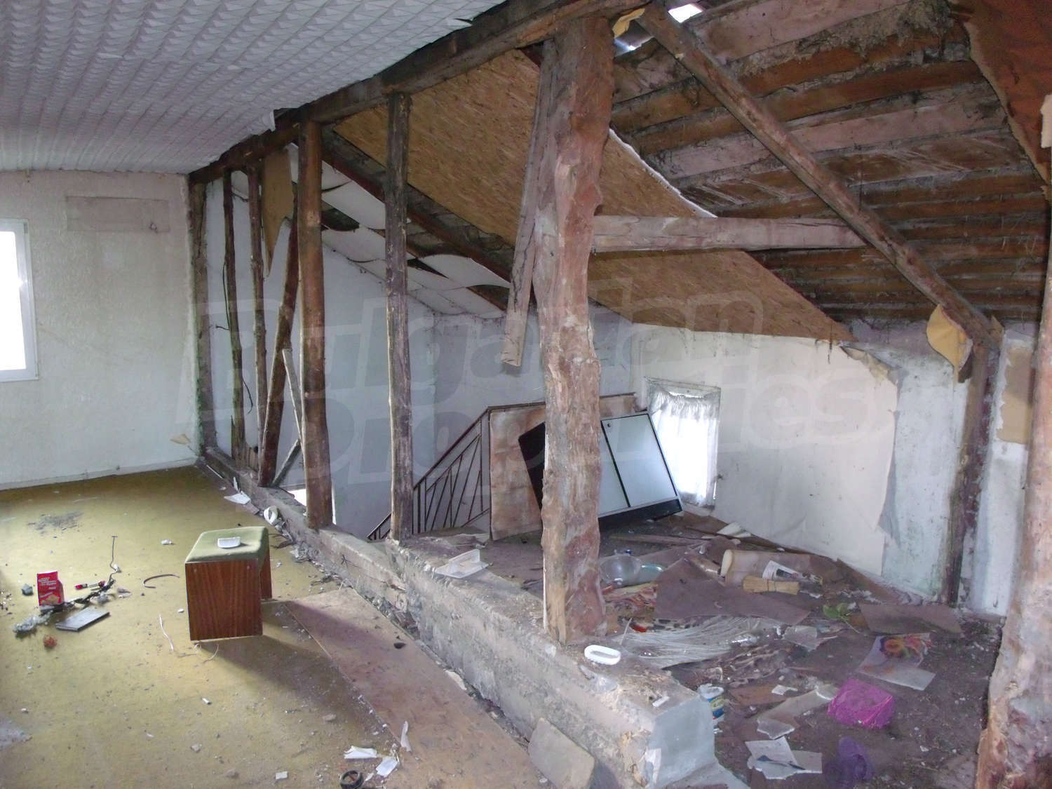 Gallery Picture 12