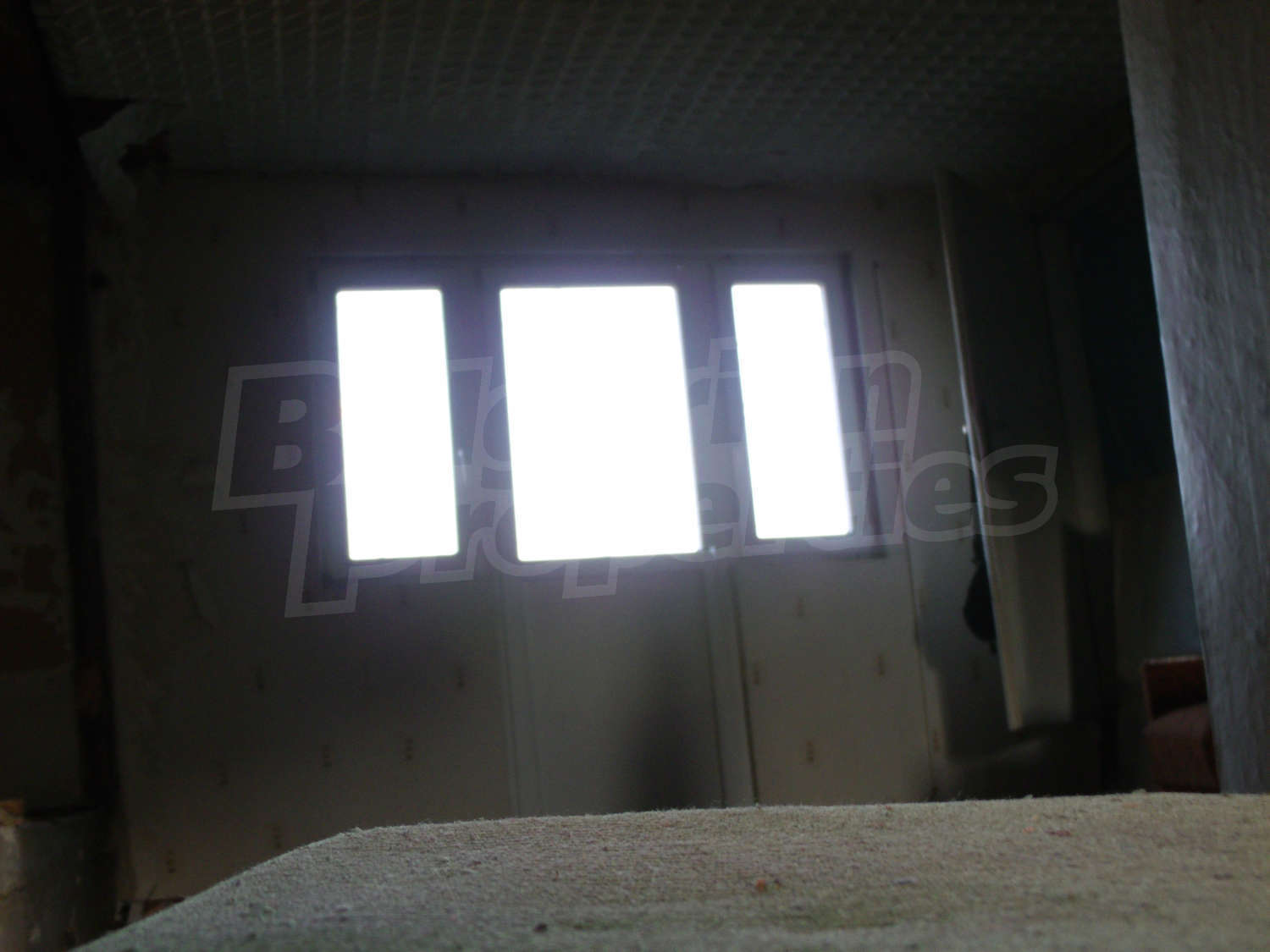 Gallery Picture 14