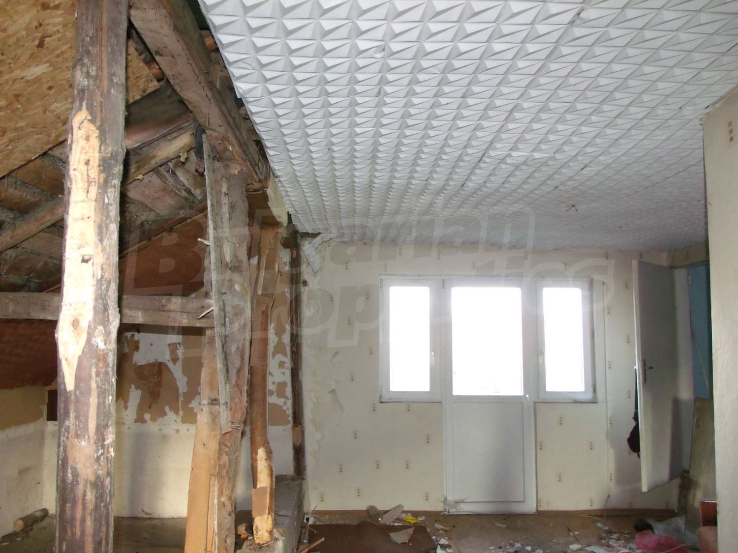 Gallery Picture 15