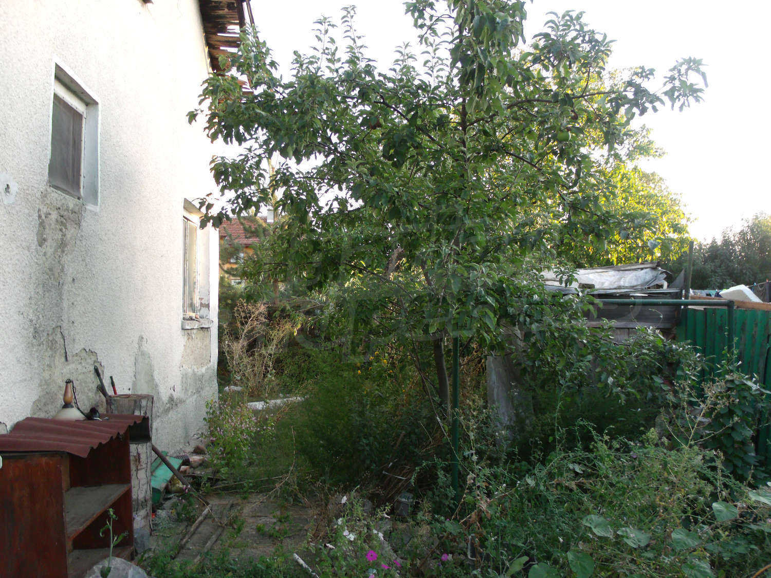 Gallery Picture 23