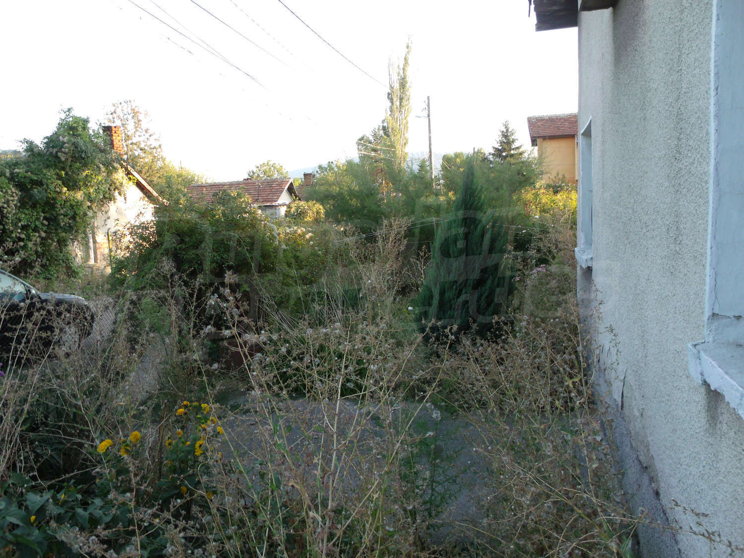 Gallery Picture 6