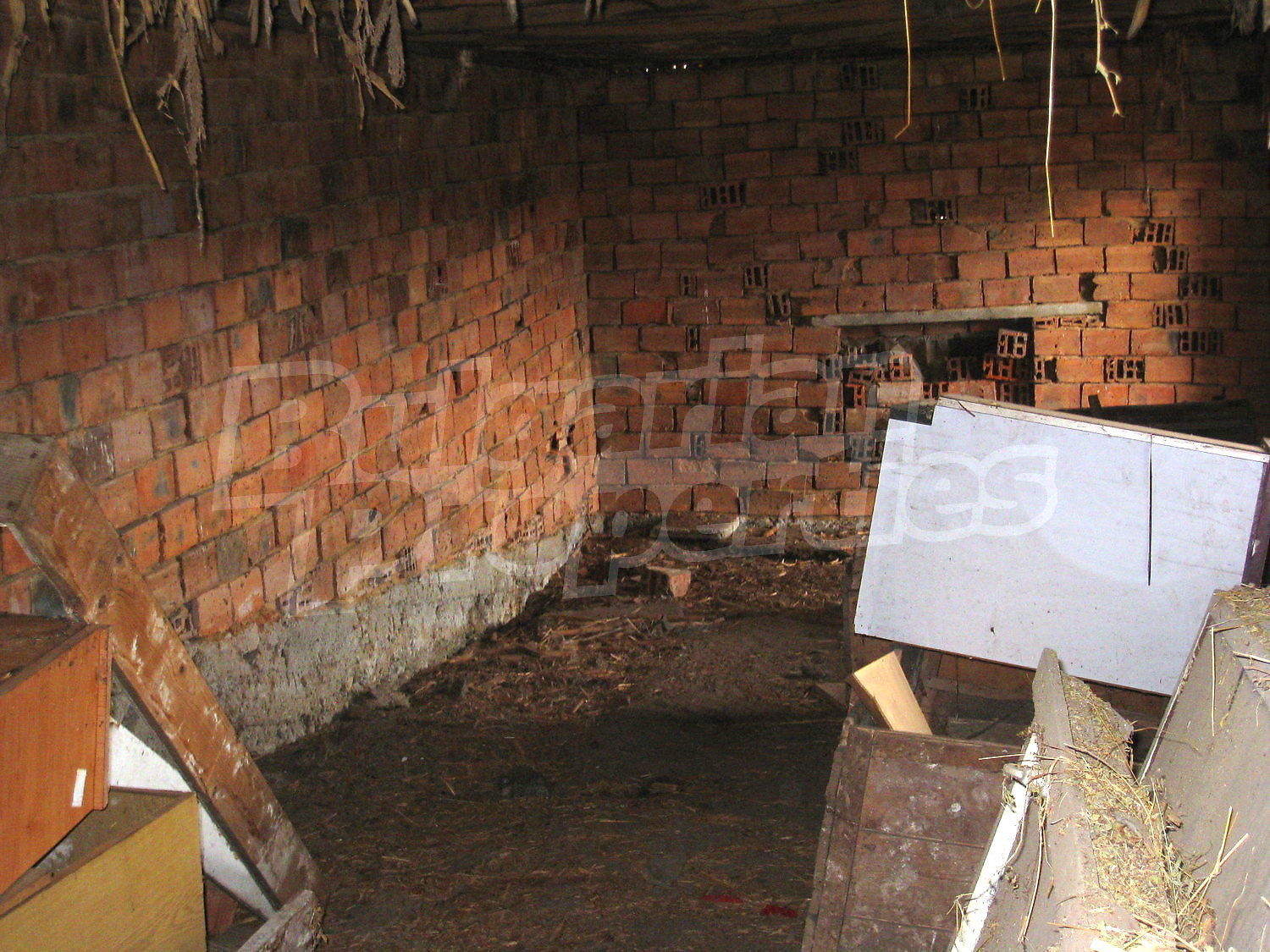 Gallery Picture 23