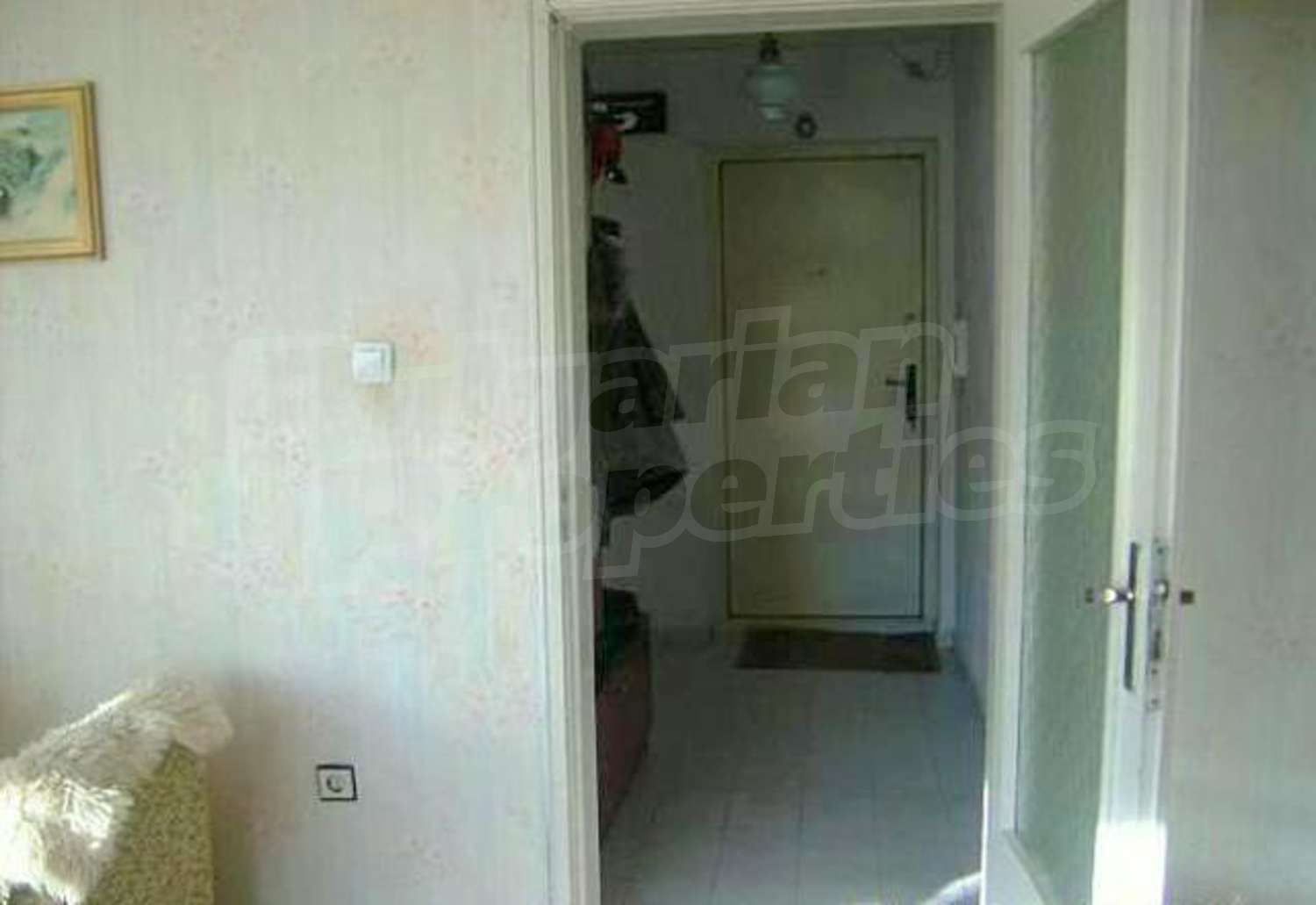 Gallery Picture 7