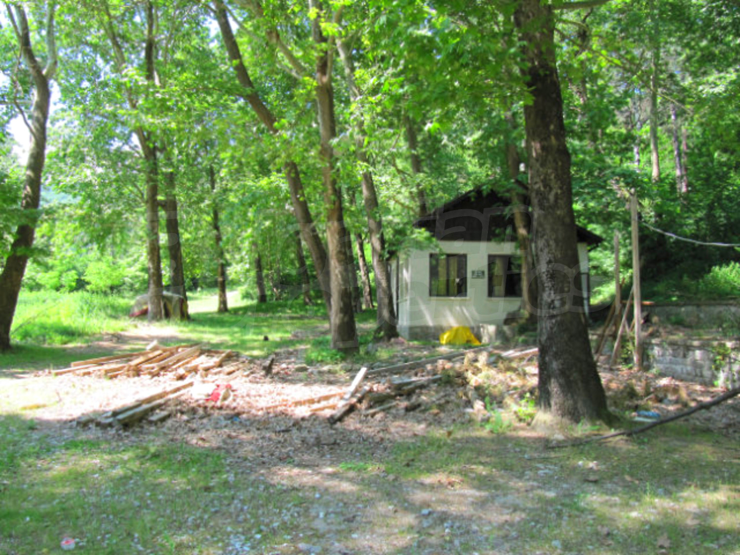 Gallery Picture 12