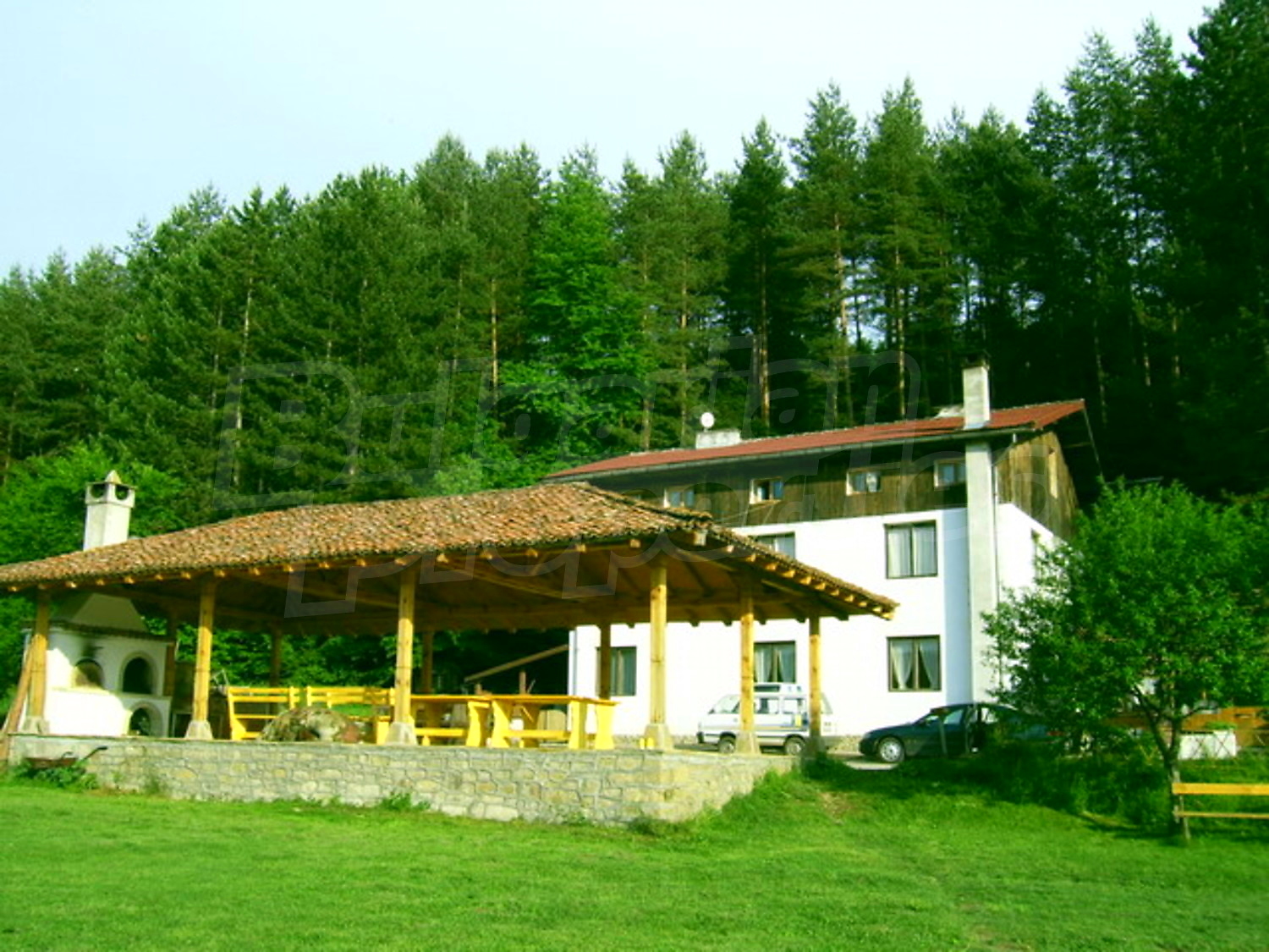 Gallery Picture 10