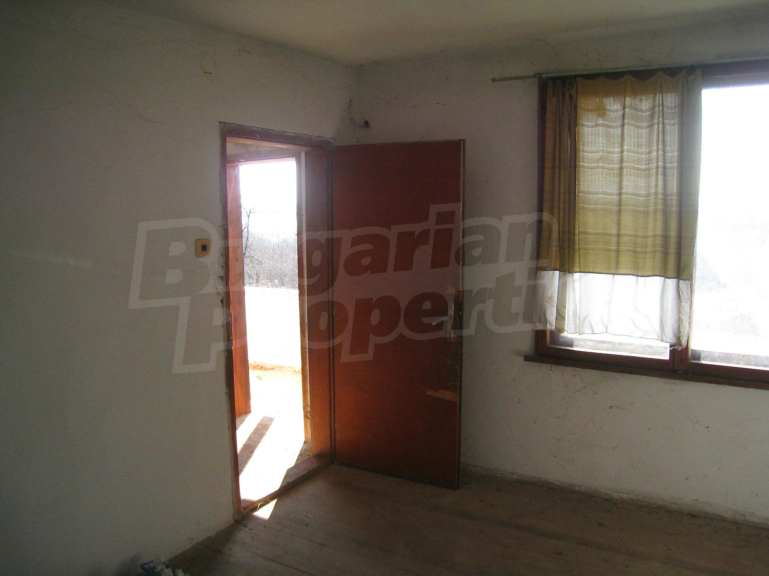 Gallery Picture 14