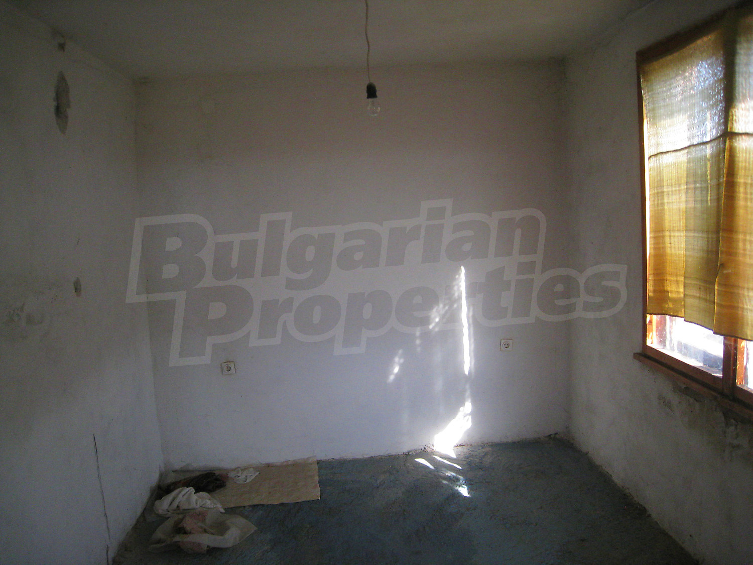 Gallery Picture 17