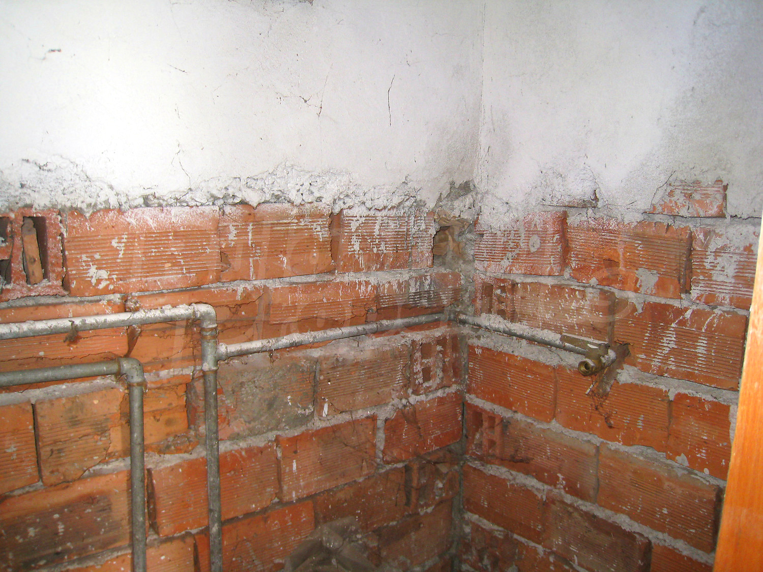 Gallery Picture 22