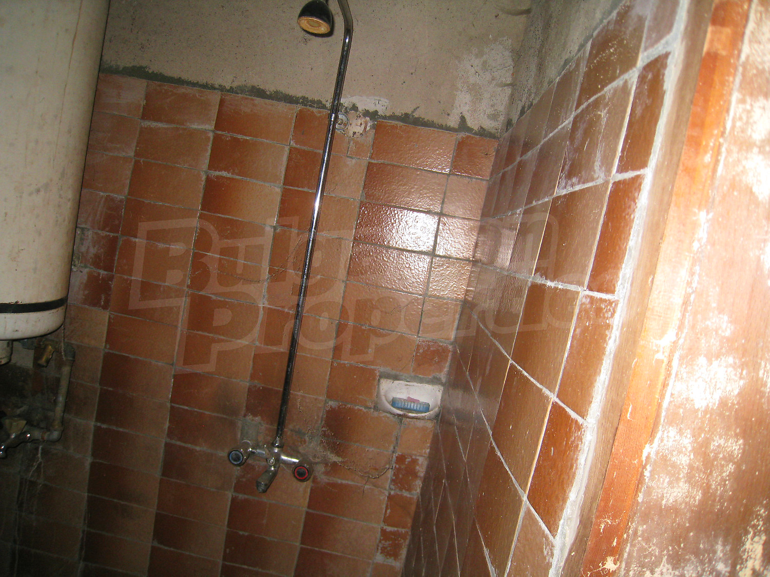 Gallery Picture 23