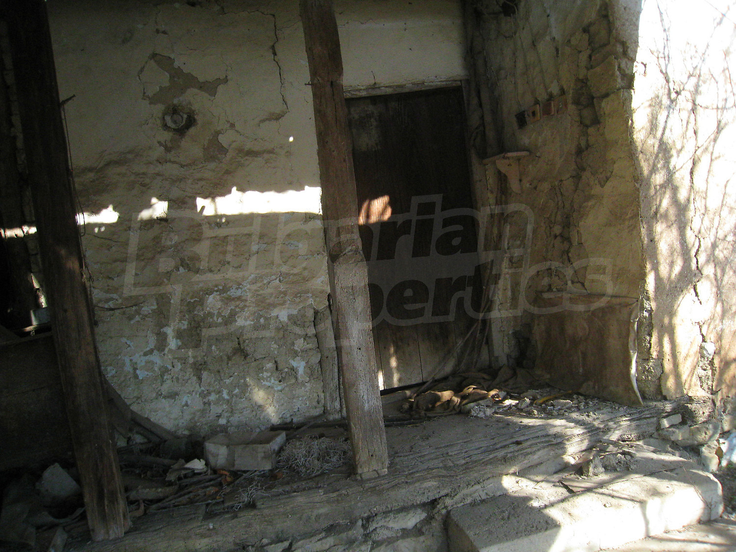 Gallery Picture 33