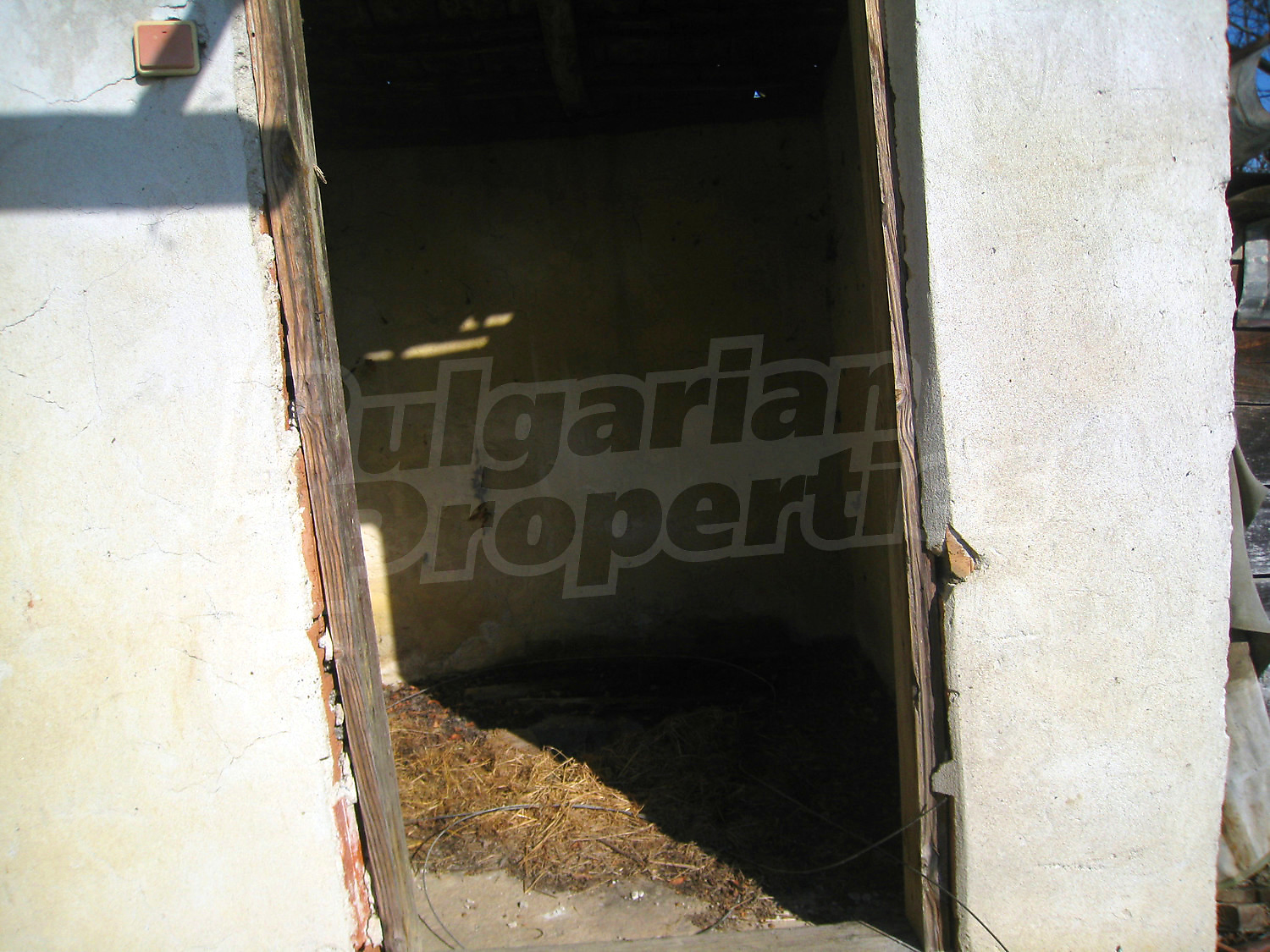Gallery Picture 34