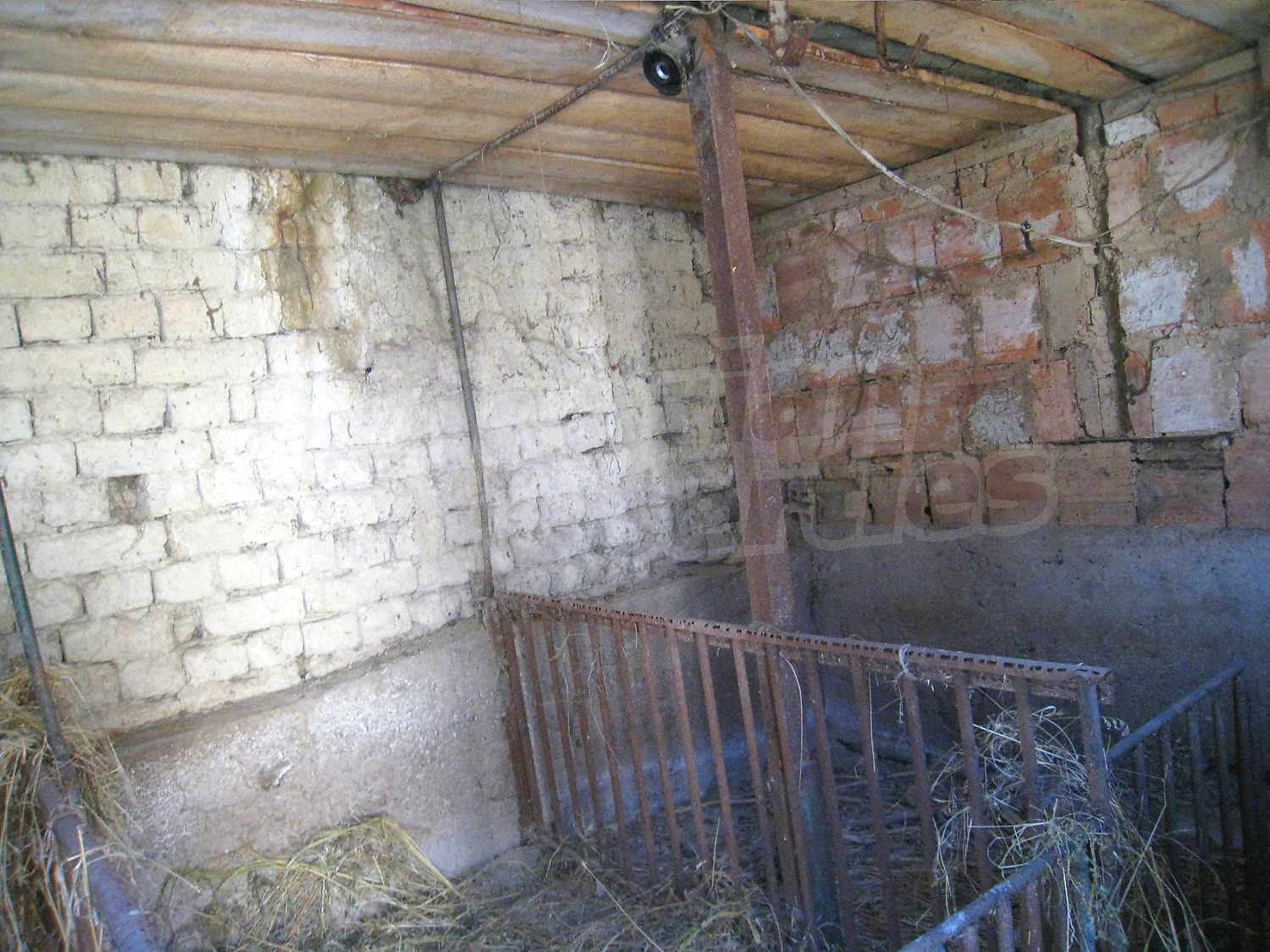 Gallery Picture 35