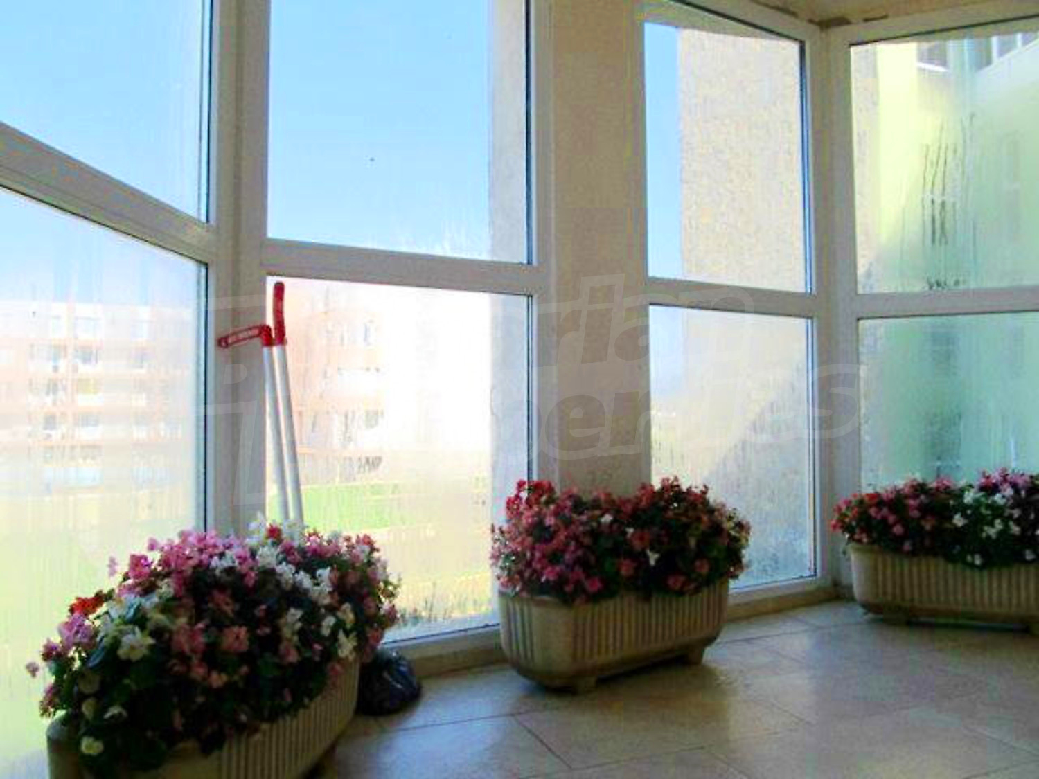 Gallery Picture 19