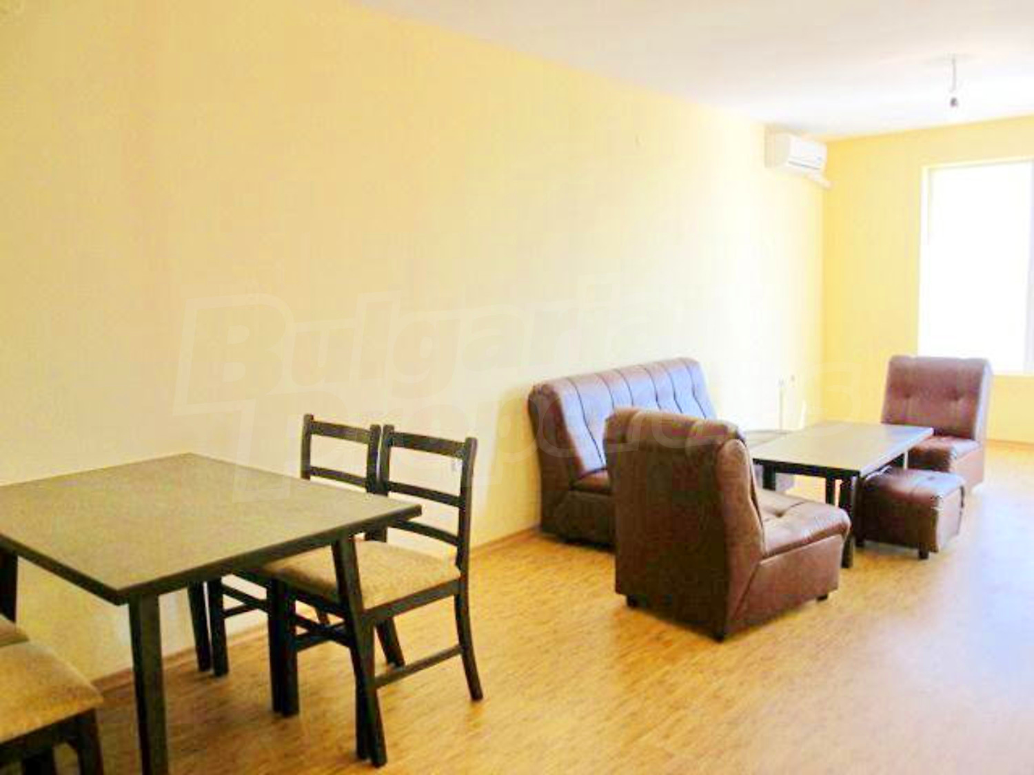 Gallery Picture 26